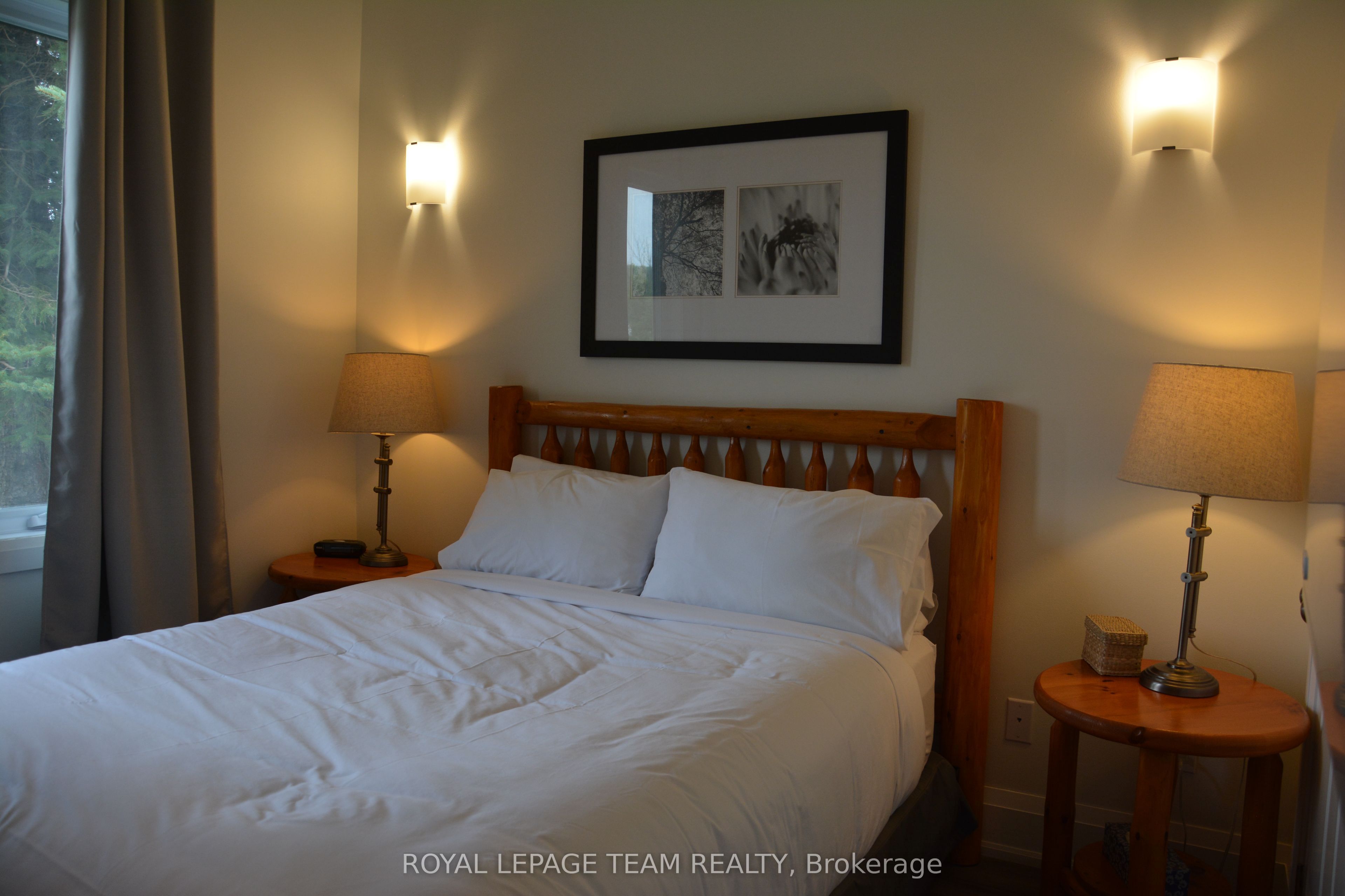 100 Alpine Lane 101, Greater Madawaska, ON K0J 1H0 photo 3