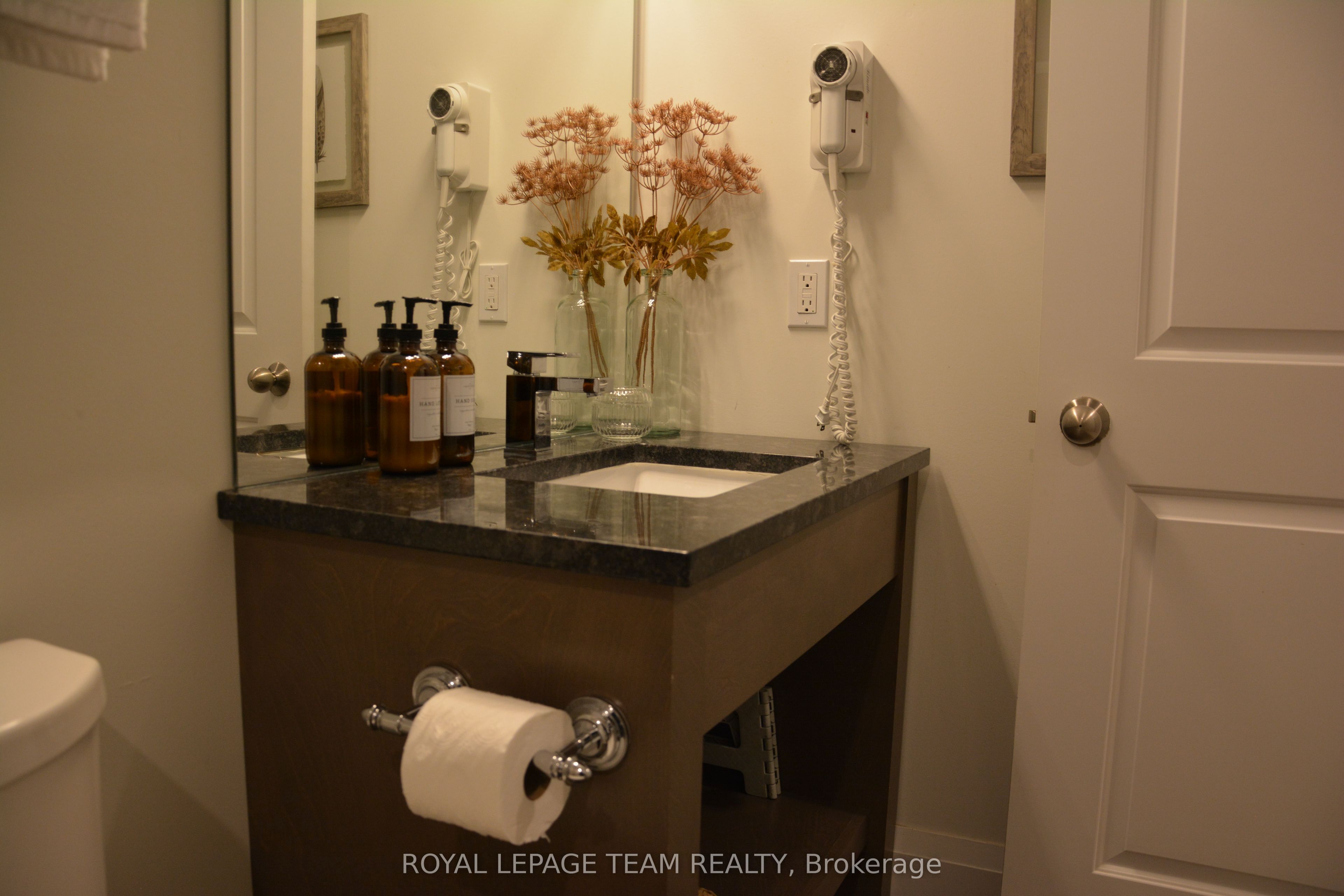 100 Alpine Lane 101, Greater Madawaska, ON K0J 1H0 photo 4