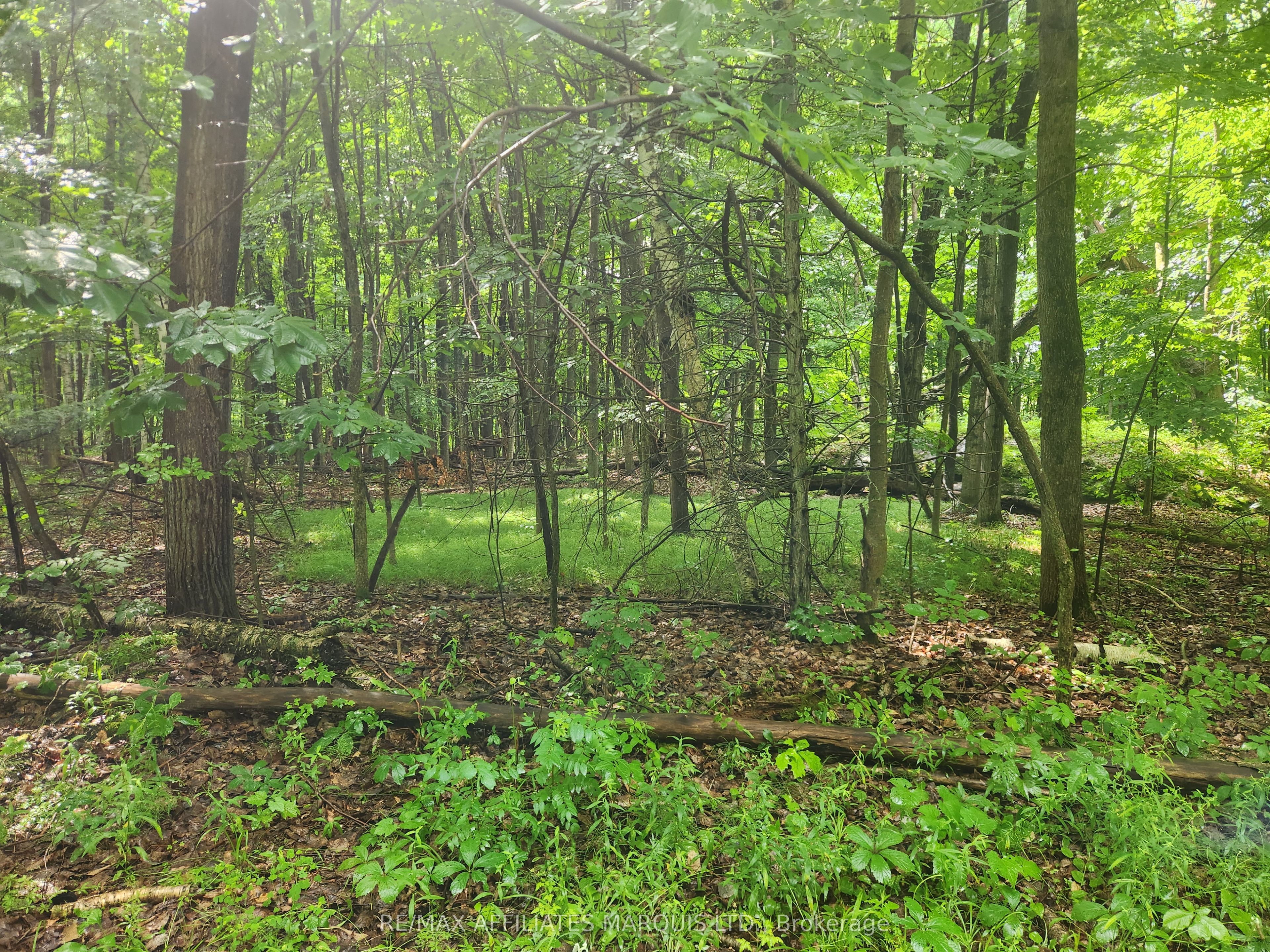 000 Cedar Sands Road Way, Rideau Lakes, ON K0E 1N0 photo 3