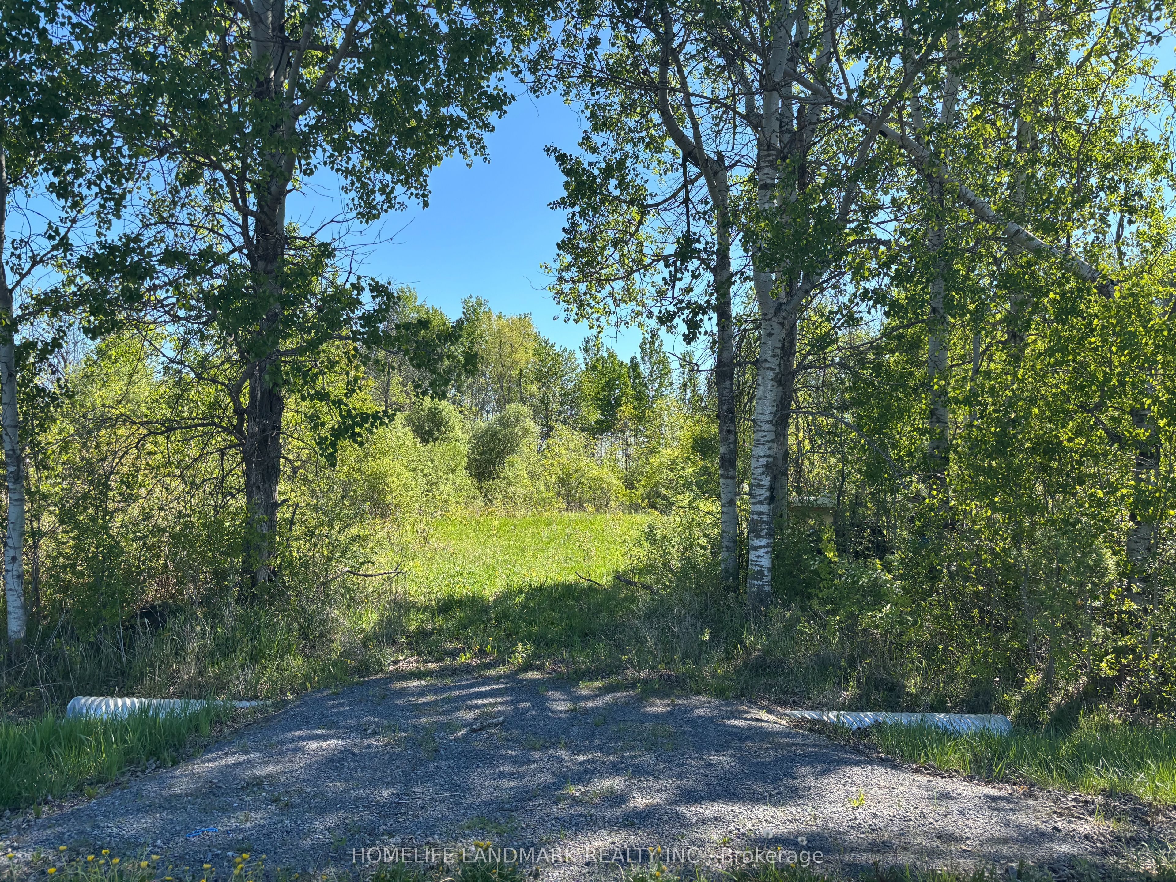 3485 Smith Road, South Stormont, ON K0C 1Y0 photo 3