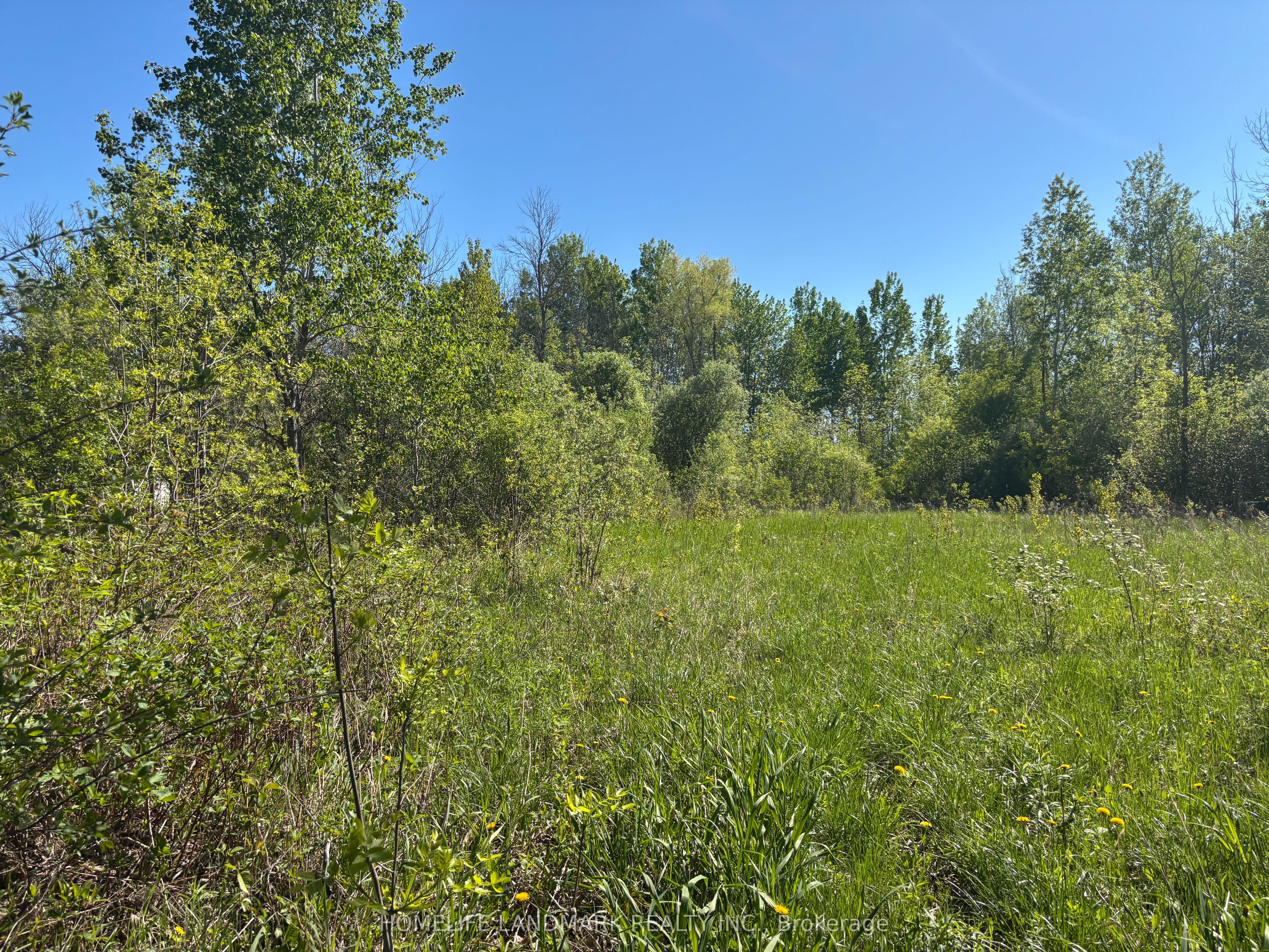 3485 Smith Road, South Stormont, ON K0C 1Y0 photo 4