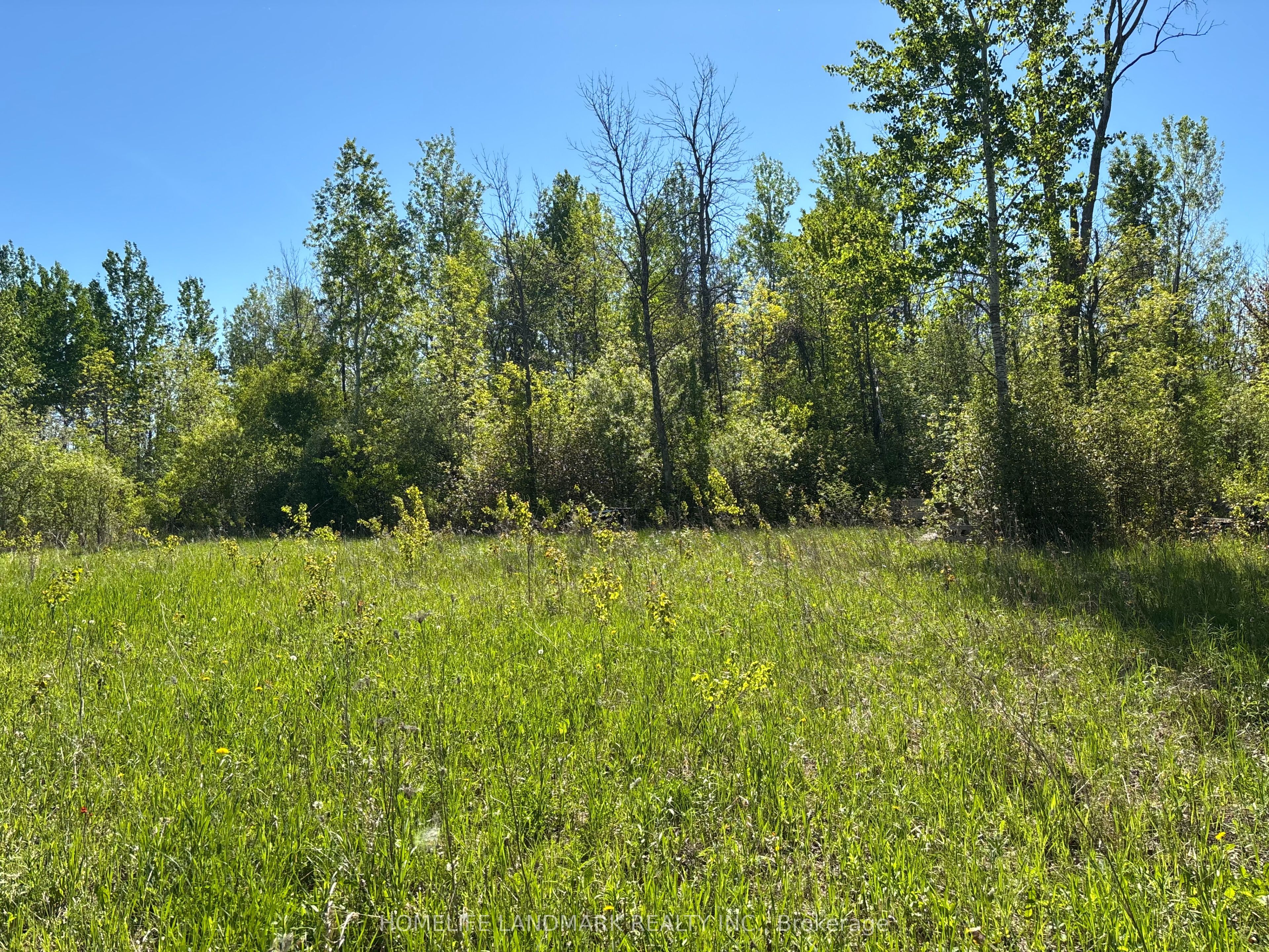 3485 Smith Road, South Stormont, ON K0C 1Y0 photo 5