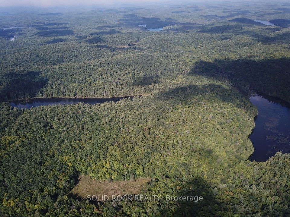 163 Mulvihill Farm Road, Greater Madawaska, ON K7V 3Z7 photo 3