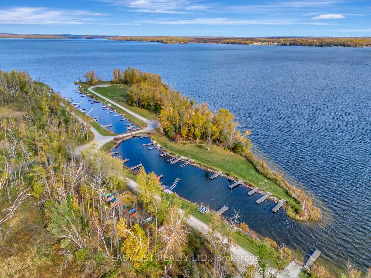 456 Old Surrey Lane, Kawartha Lakes, ON K0M 1A0 photo 3