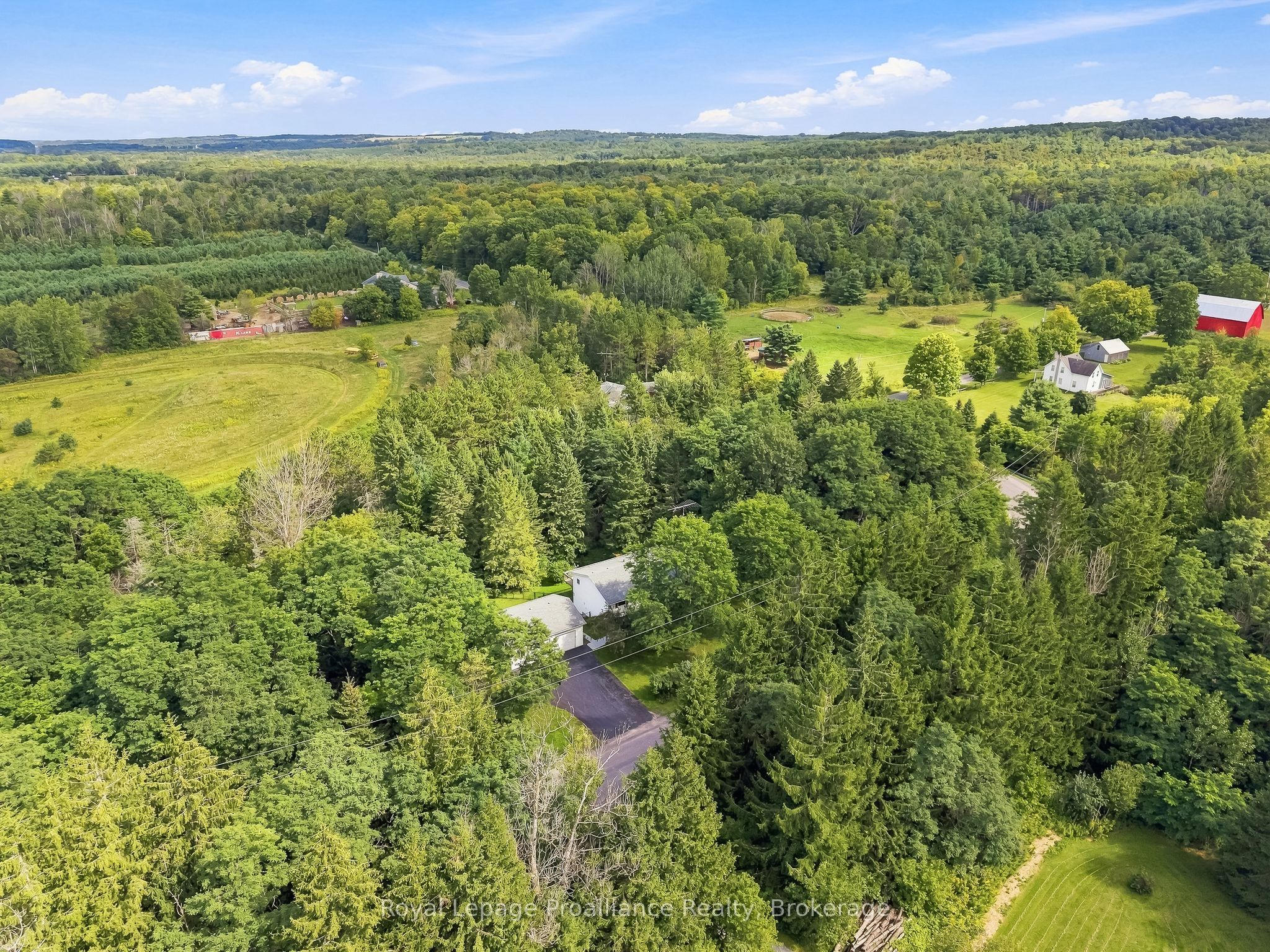 1528 Pinewood School Road, Brighton, ON K0K 1R0 photo 3