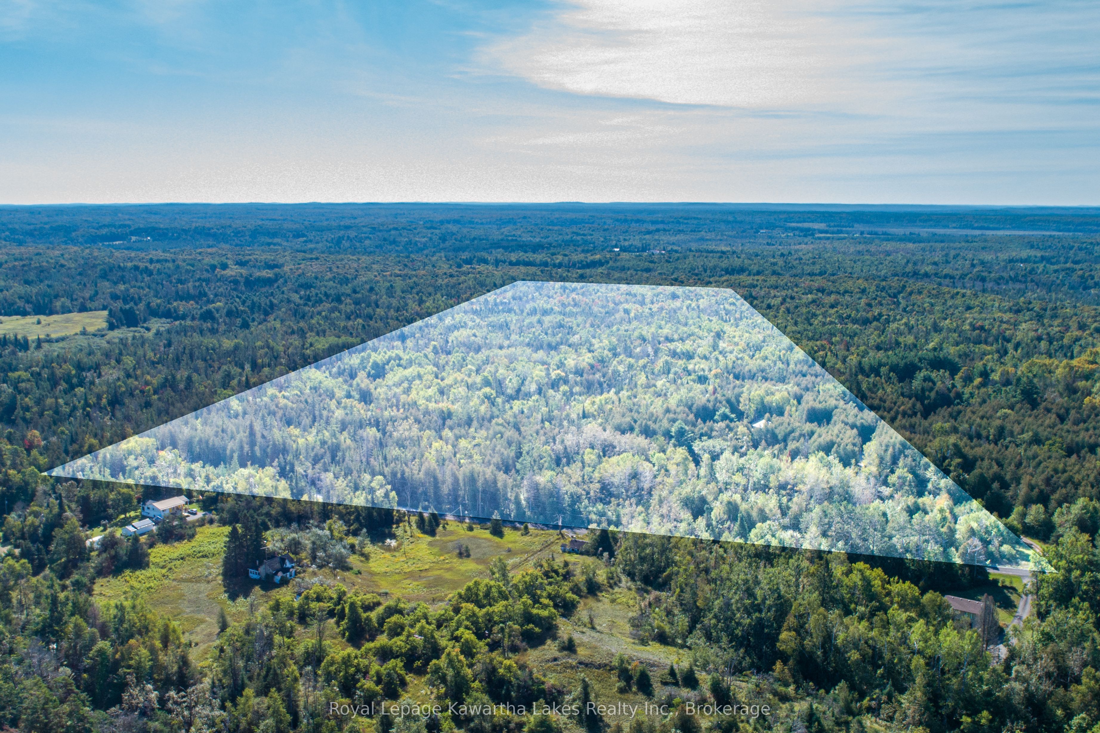 244 Dutch Line Road W, Trent Lakes, ON K0M 2A0 photo 2