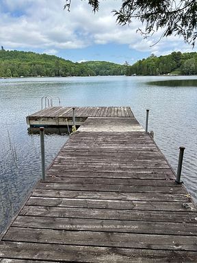 1981 Horseshoe Lake Road, Minden Hills, ON K0M 2K0 photo 2