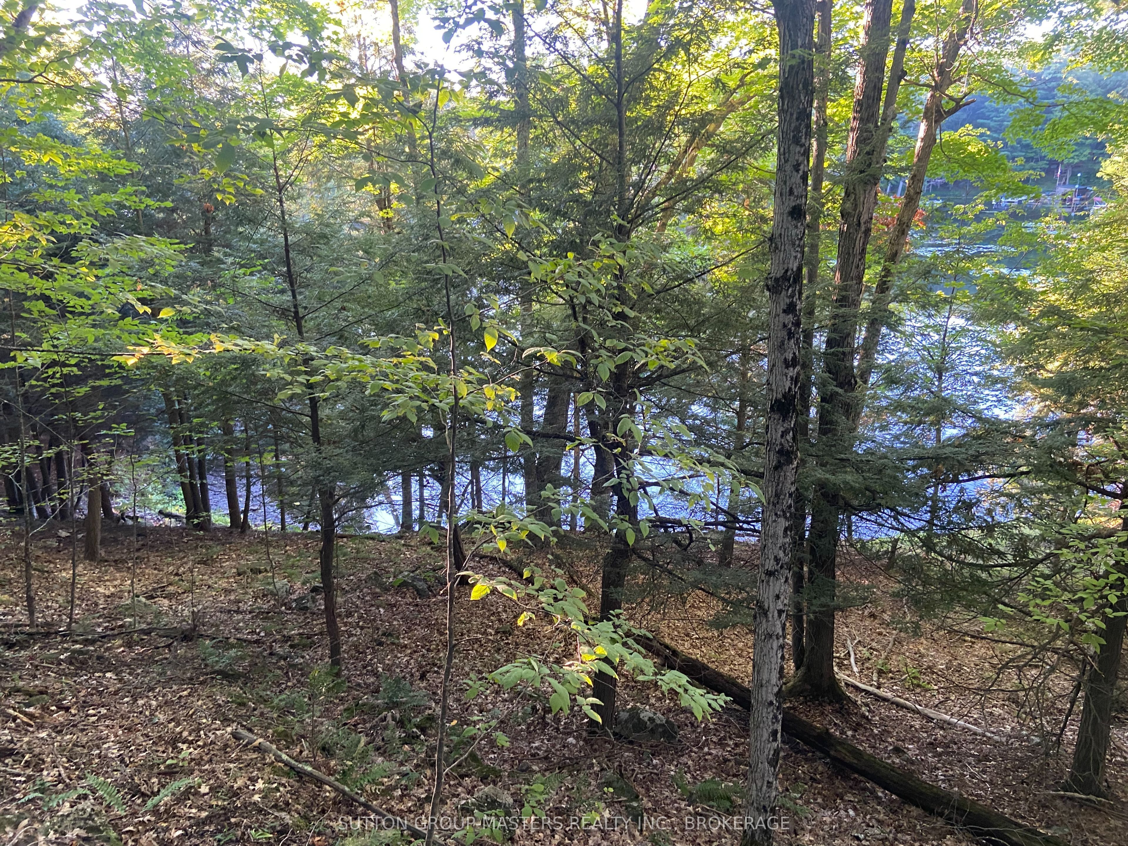 1001 White Lake Road, Frontenac, ON K0H 1V0 photo 4
