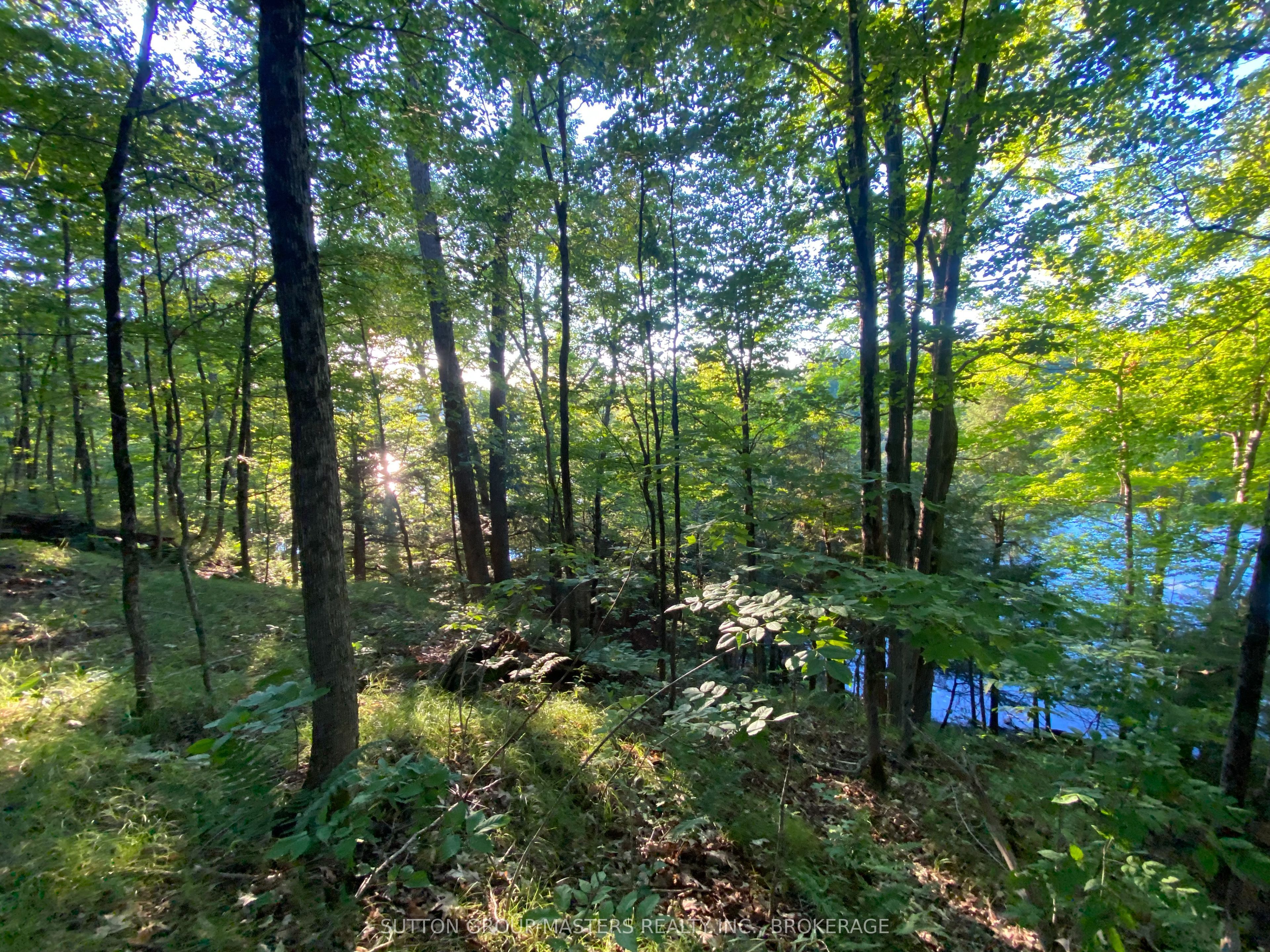 1001 White Lake Road, Frontenac, ON K0H 1V0 photo 5
