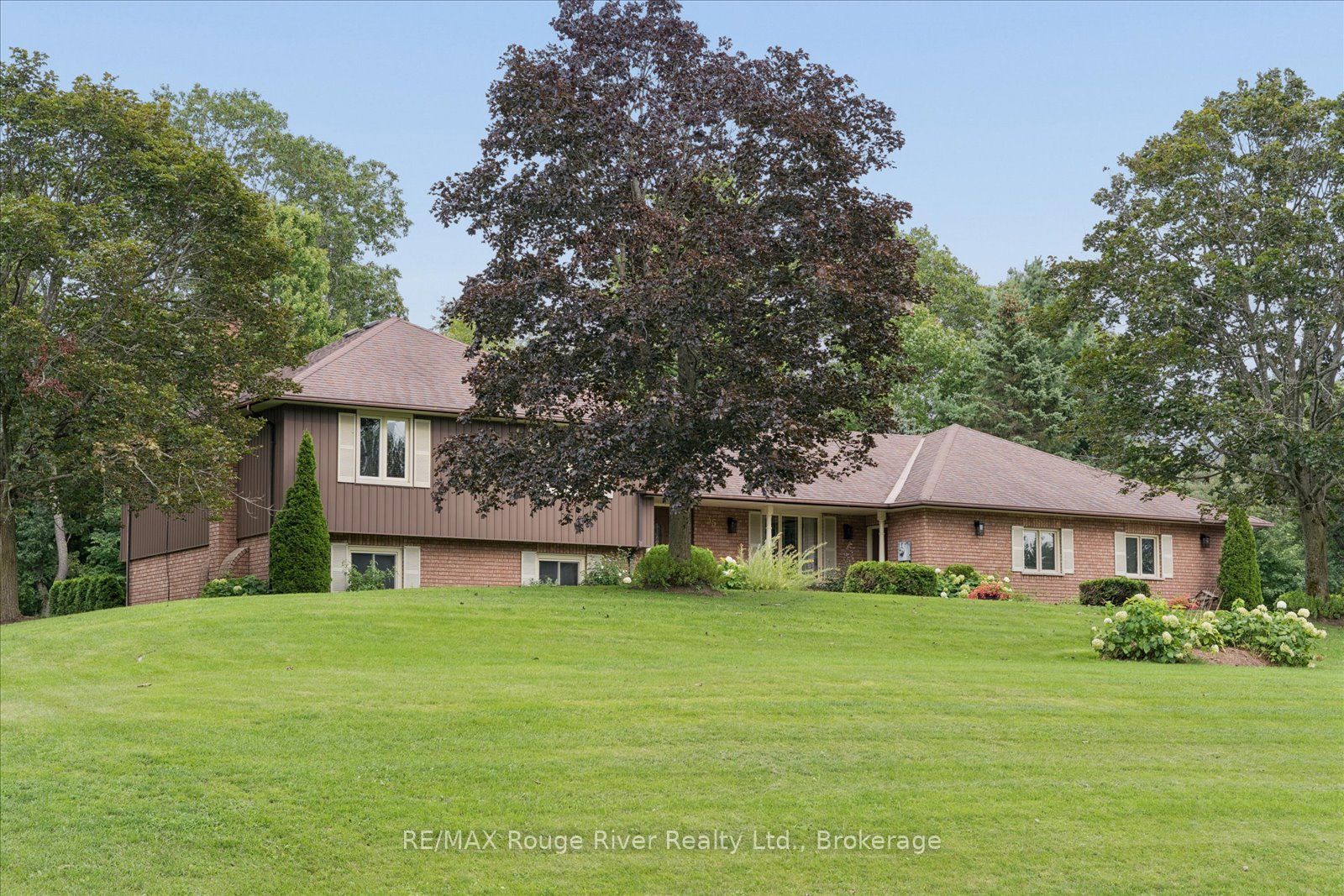 35 Royal Estate Drive, Kawartha Lakes, ON L0A 1K0 photo 4