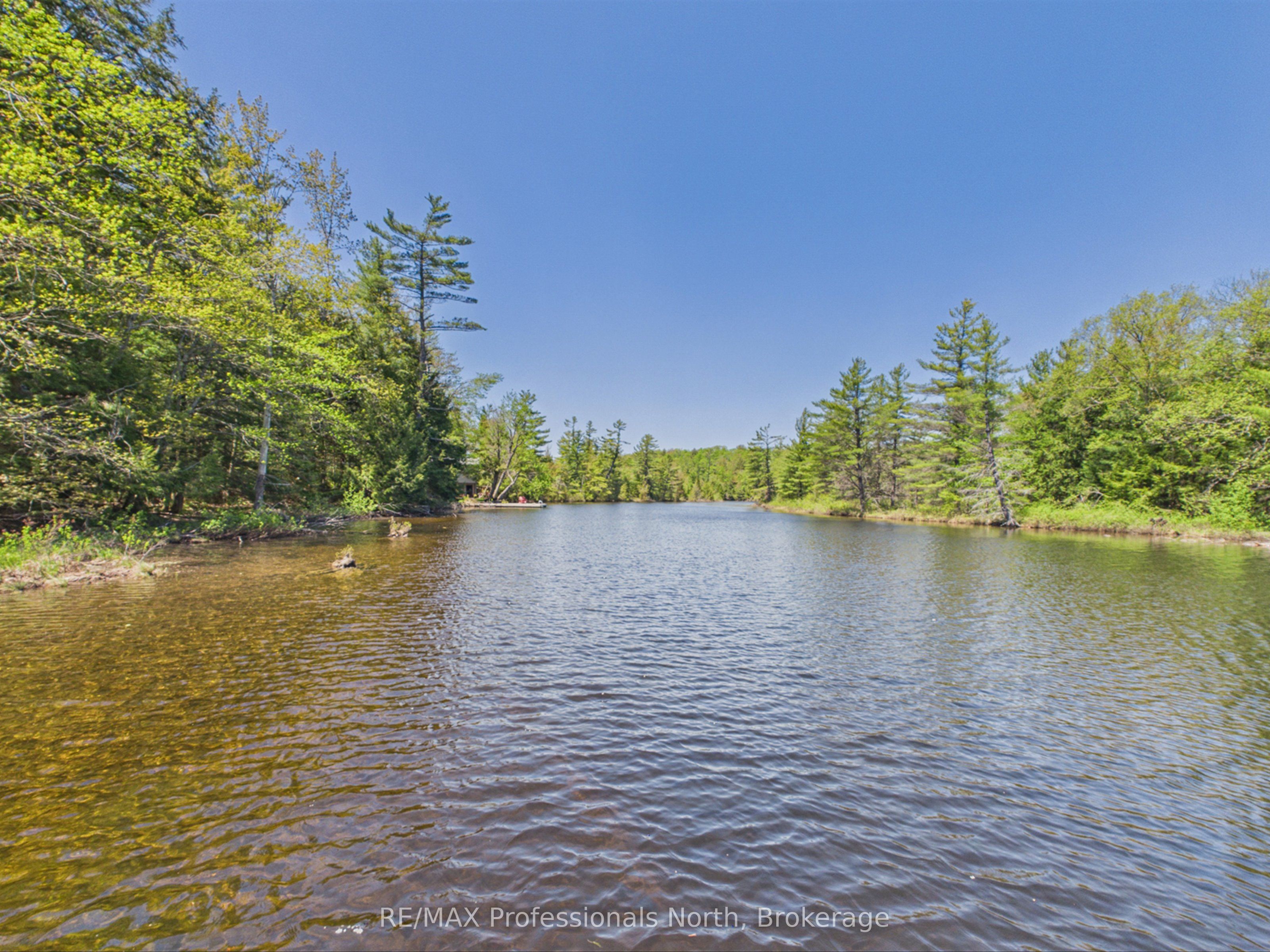 1215 118 Highway E, Bracebridge, ON P1L 0K3 photo 3