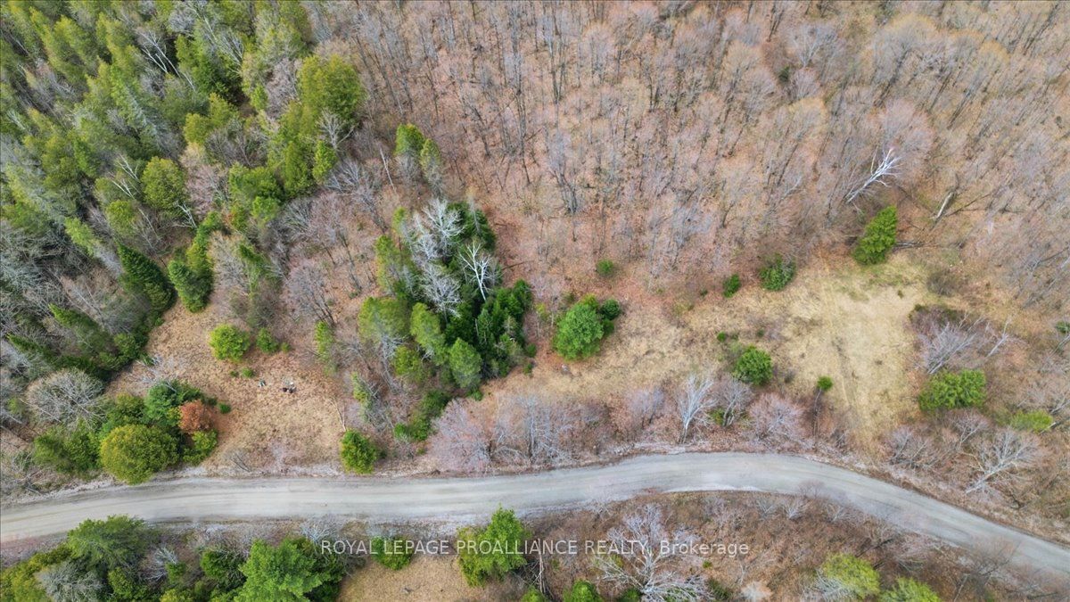 1860 North Road, Frontenac, ON K0H 2M0 photo 3