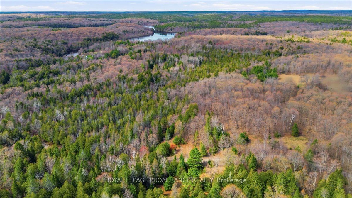 1860 North Road, Frontenac, ON K0H 2M0 photo 4