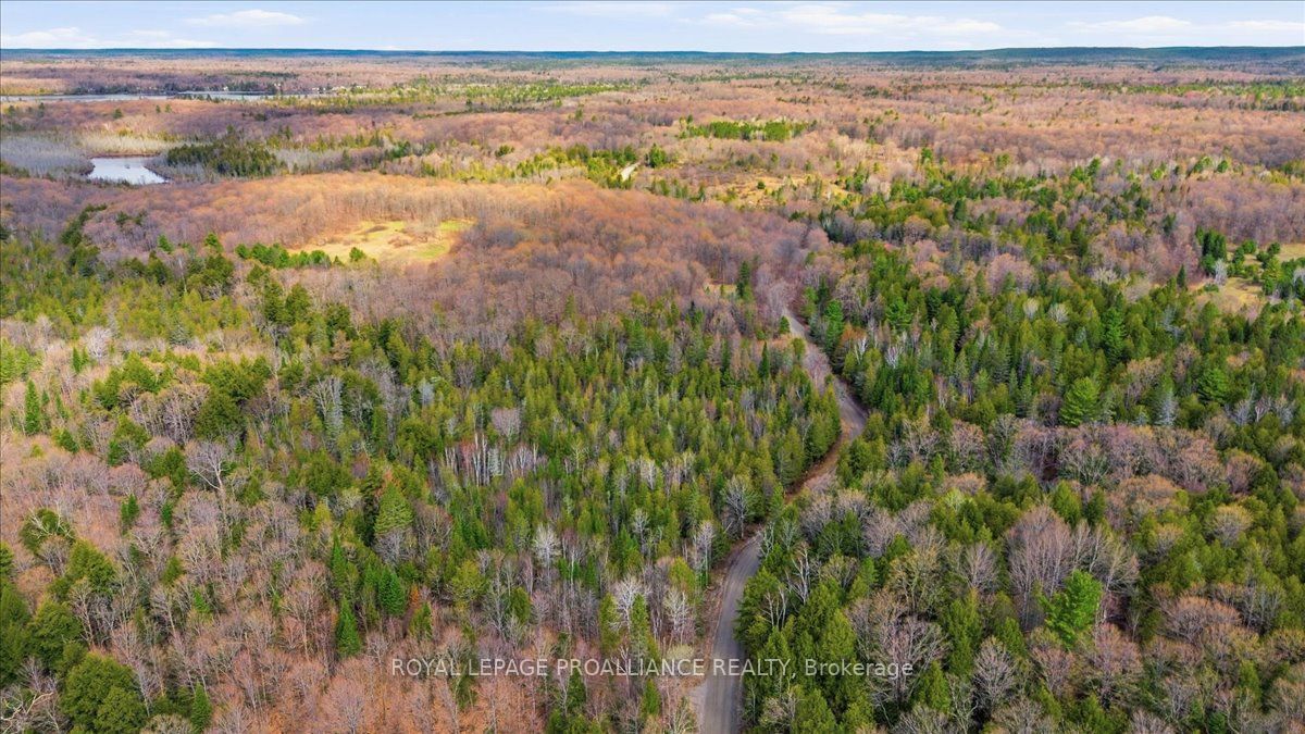 1860 North Road, Frontenac, ON K0H 2M0 photo 5