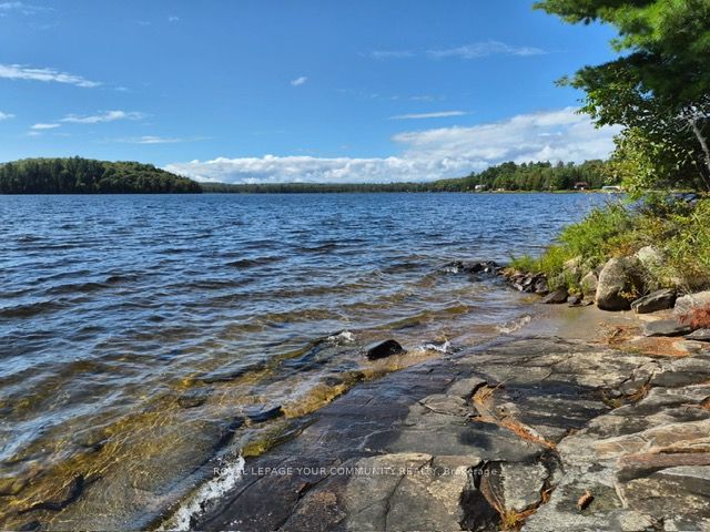2193 Fern Glen Road, McMurrich/Monteith, ON P0A 1J0