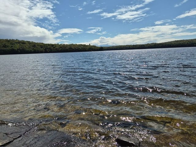 2193 Fern Glen Road, McMurrich/Monteith, ON P0A 1J0 photo 2
