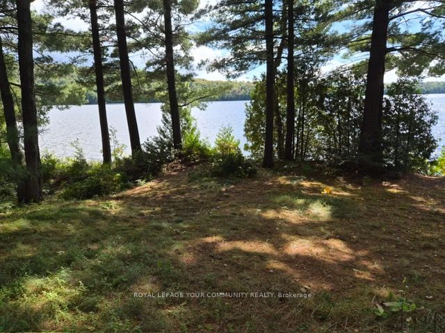 2193 Fern Glen Road, McMurrich/Monteith, ON P0A 1J0 photo 3