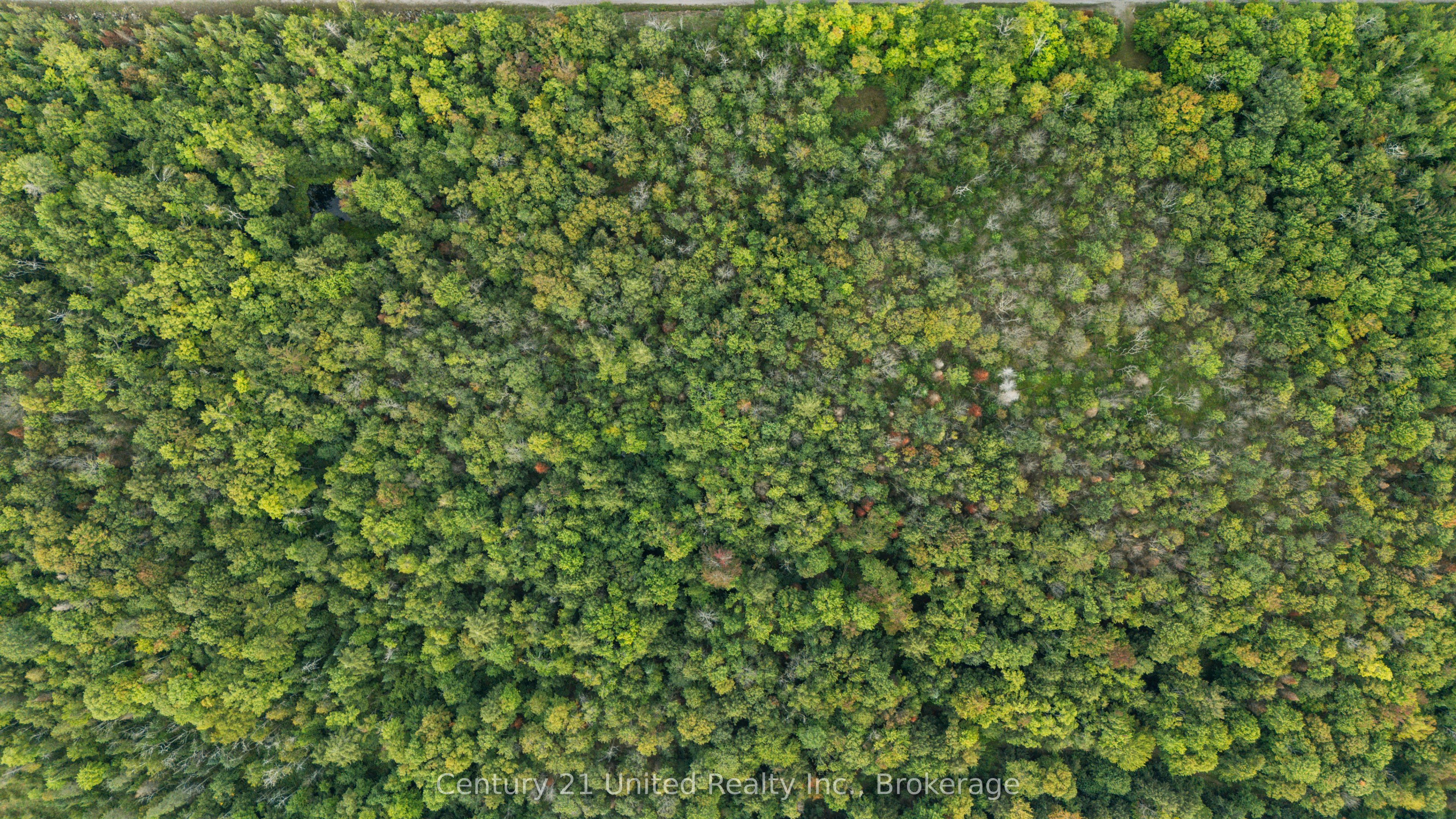 456 County Road 620, North Kawartha, ON K0L 1A0 photo 2