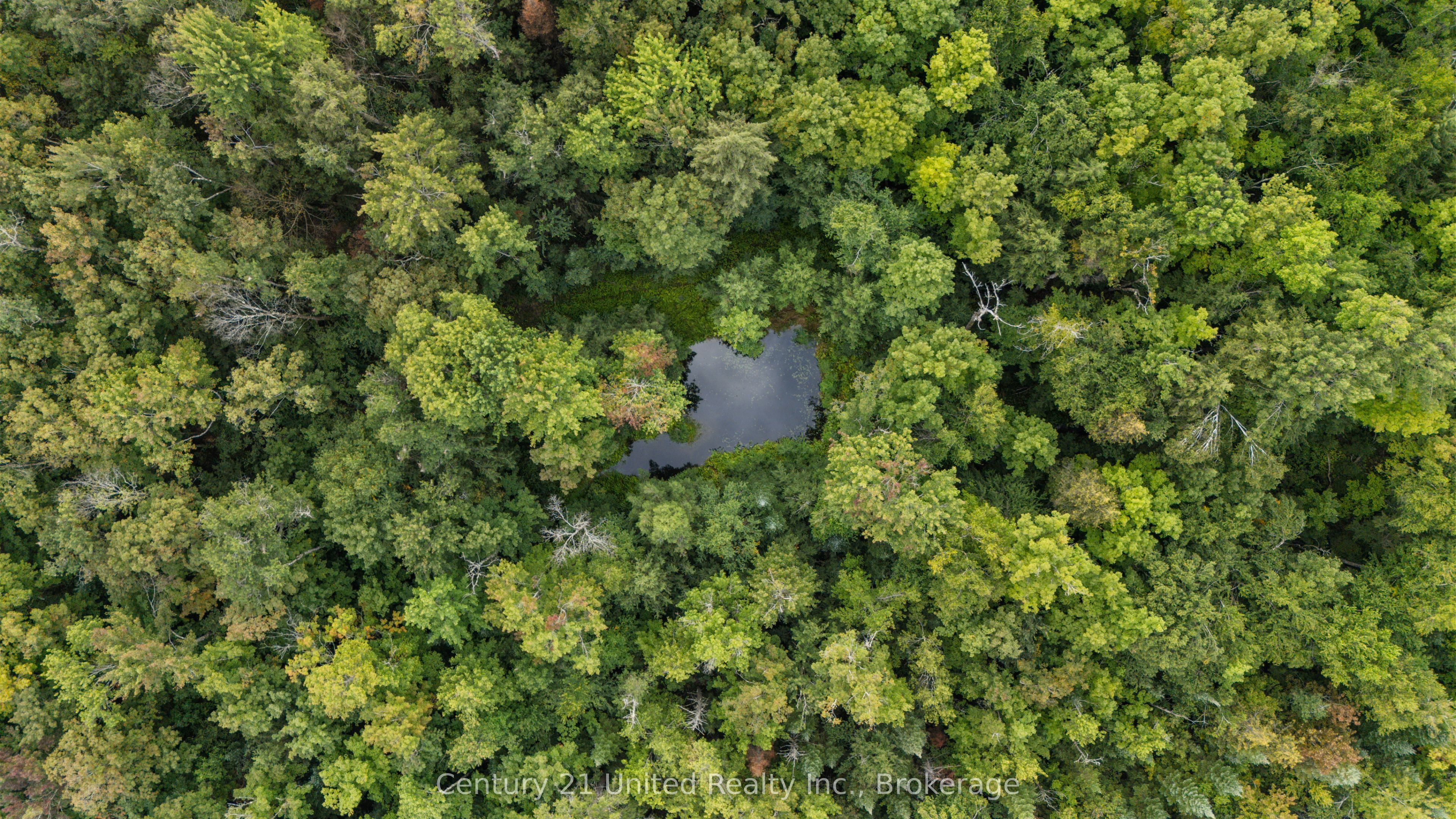 456 County Road 620, North Kawartha, ON K0L 1A0 photo 4