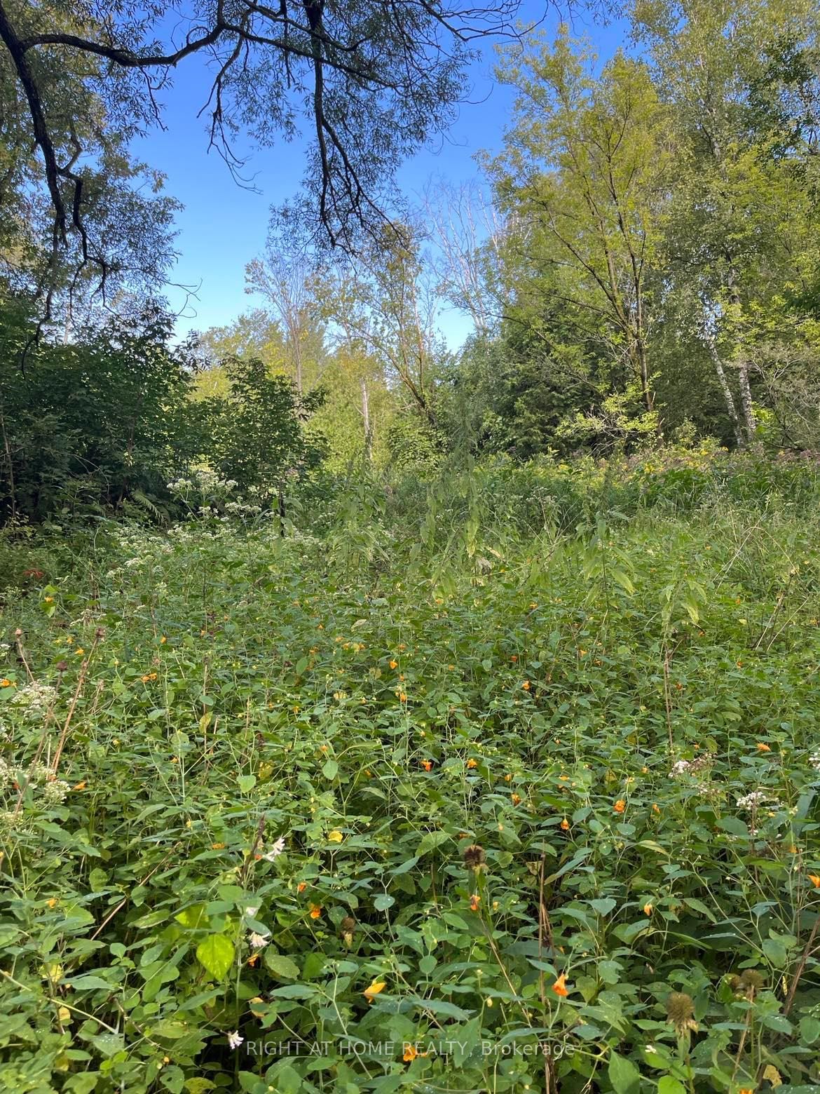 5218 Hillview Drive, Hamilton Township, ON K0K 2H0 photo 4