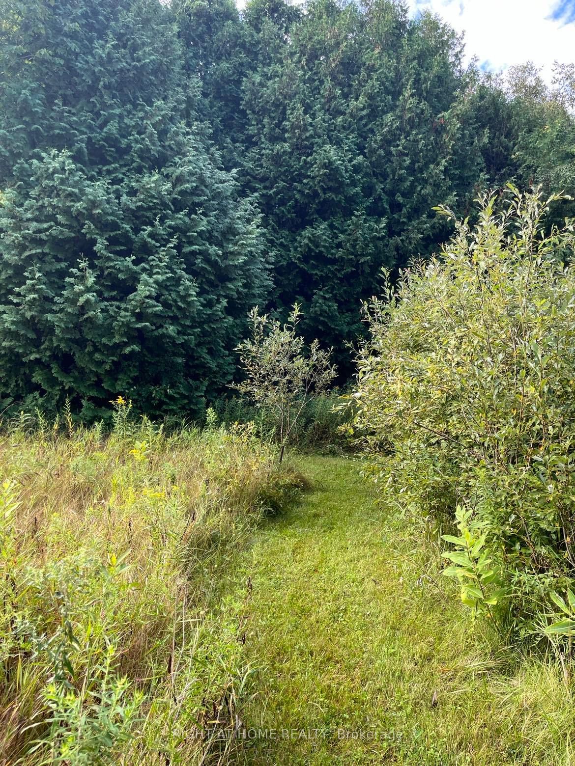 5218 Hillview Drive, Hamilton Township, ON K0K 2H0 photo 5