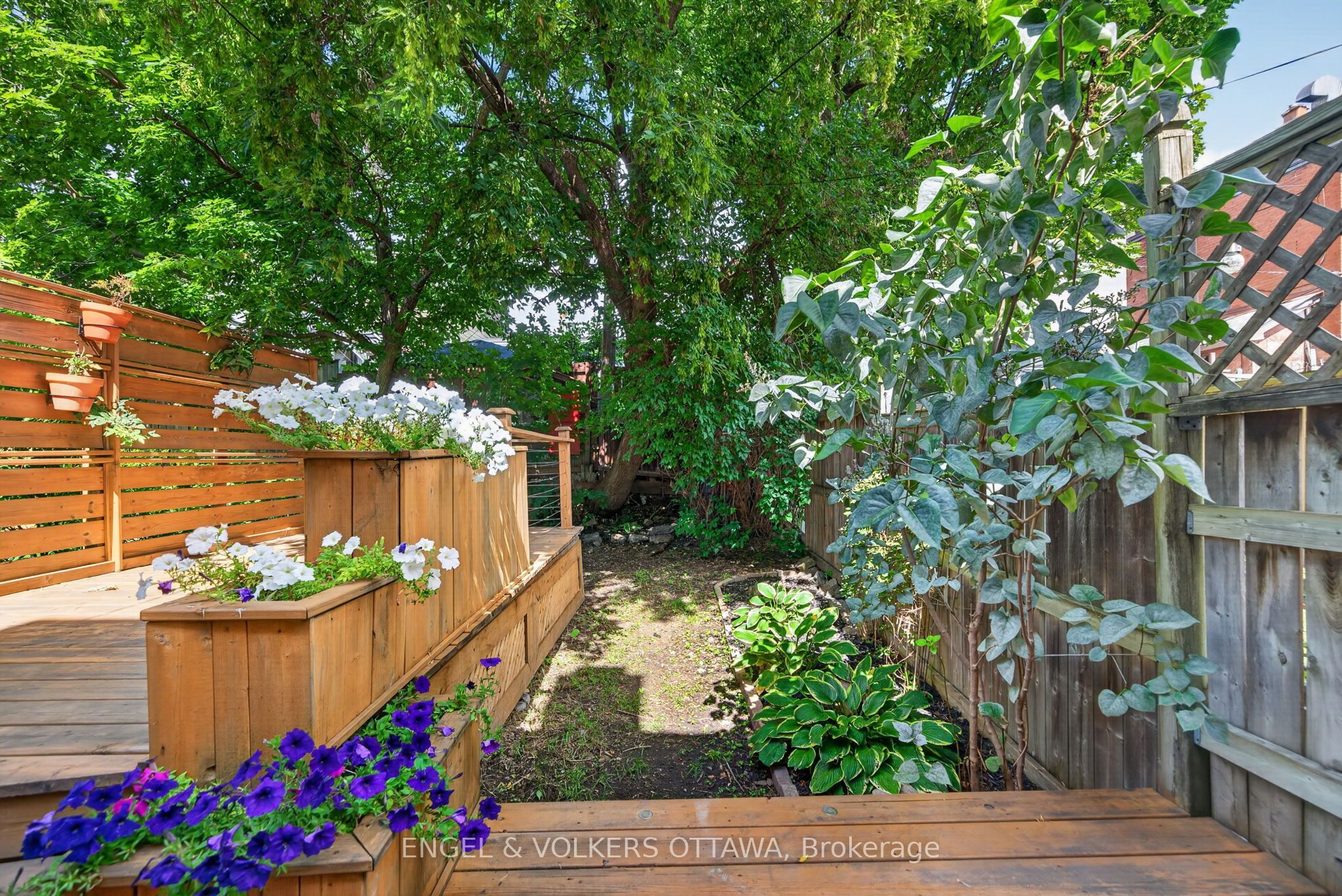 75 Eccles Street, West Centre Town, ON K1R 6S5 photo 4