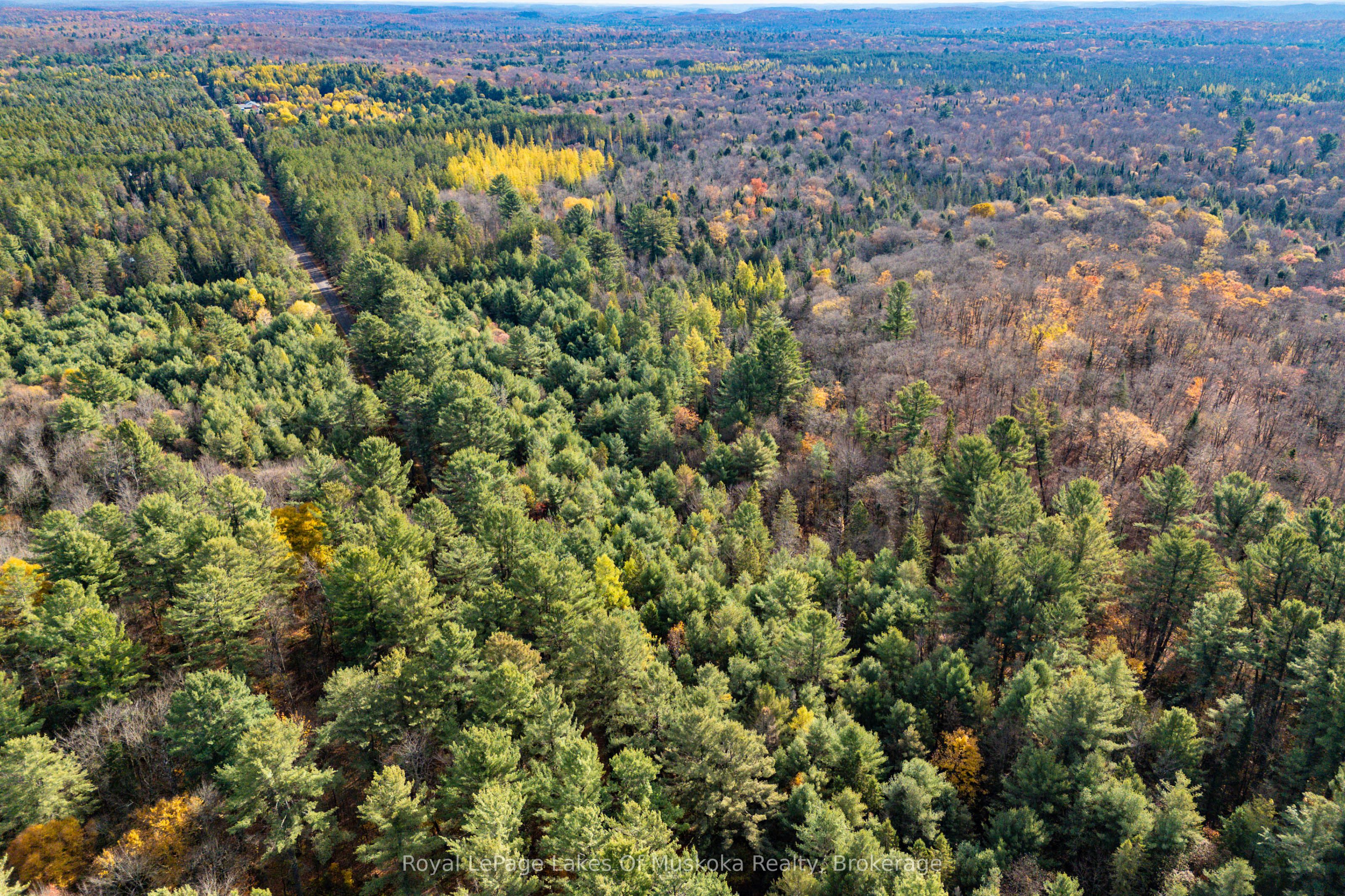 267 & 321 Cardwell Lake Road, Huntsville, ON P0B 1M0 photo 4