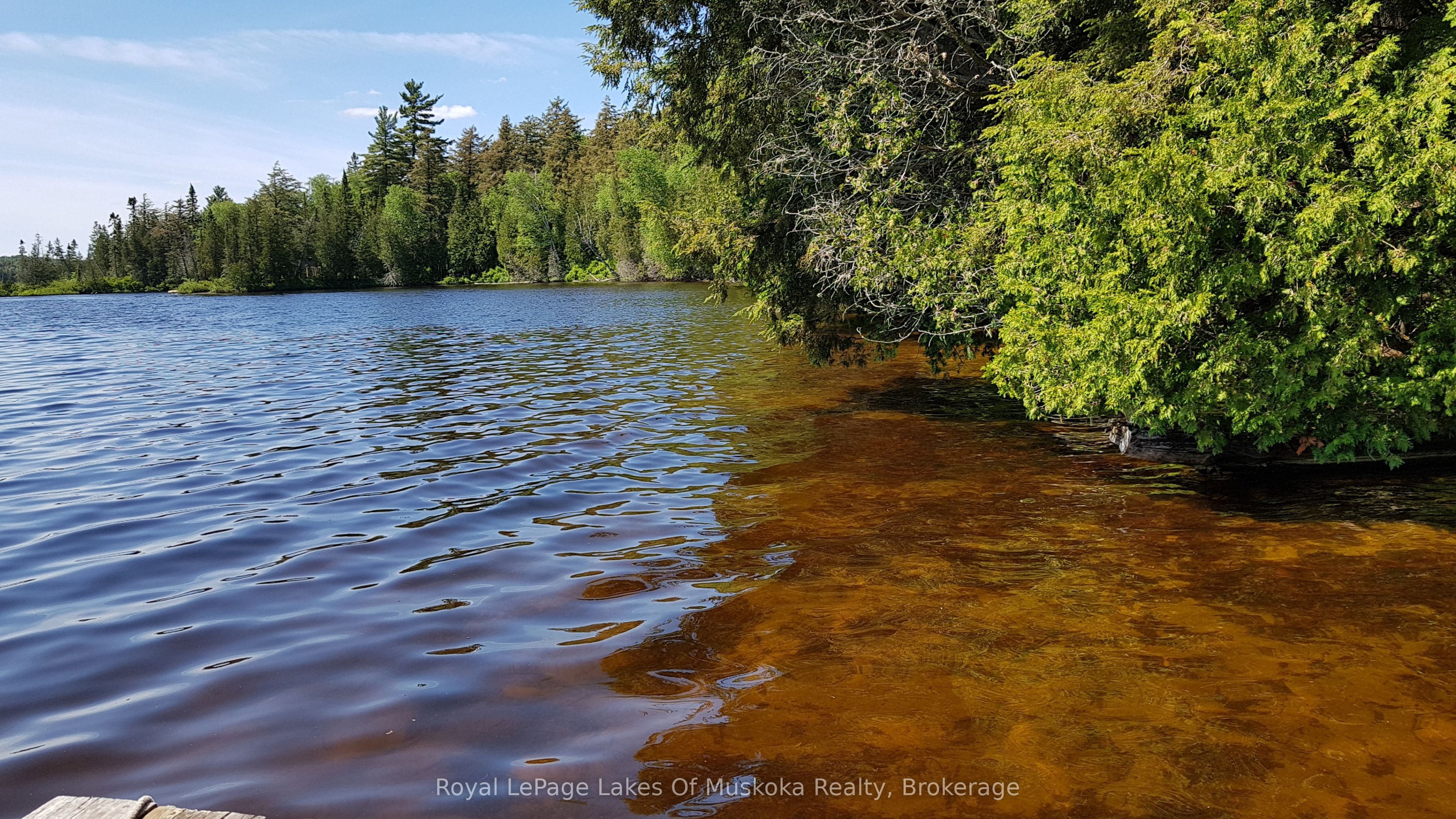 1071 Dotty Lake Road, Lake of Bays, ON P0A 1H0 photo 2