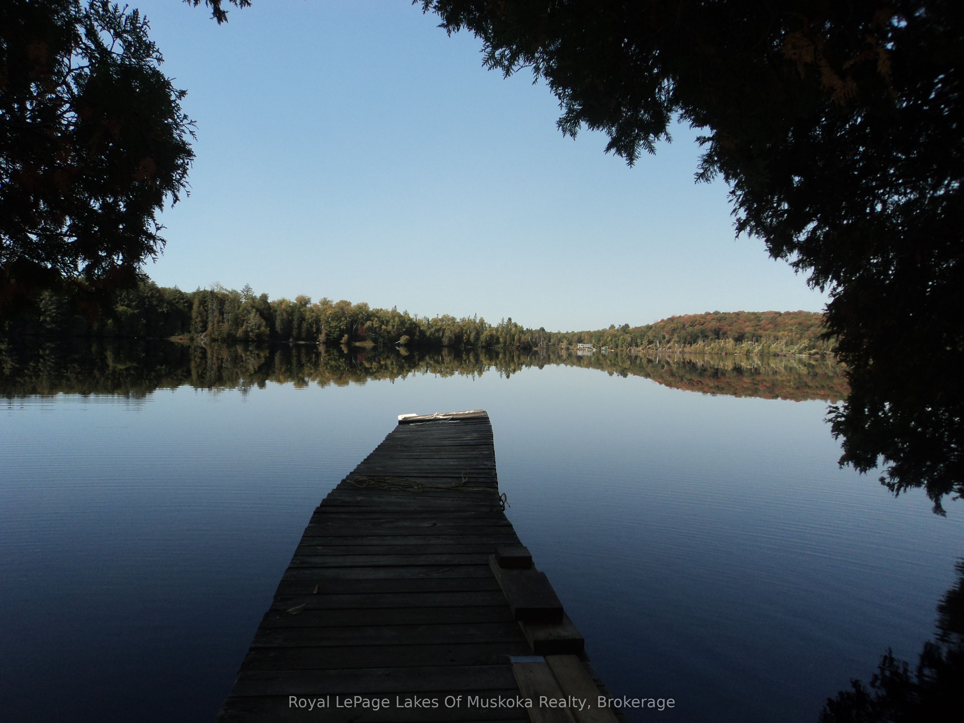 1071 Dotty Lake Road, Lake of Bays, ON P0A 1H0 photo 3