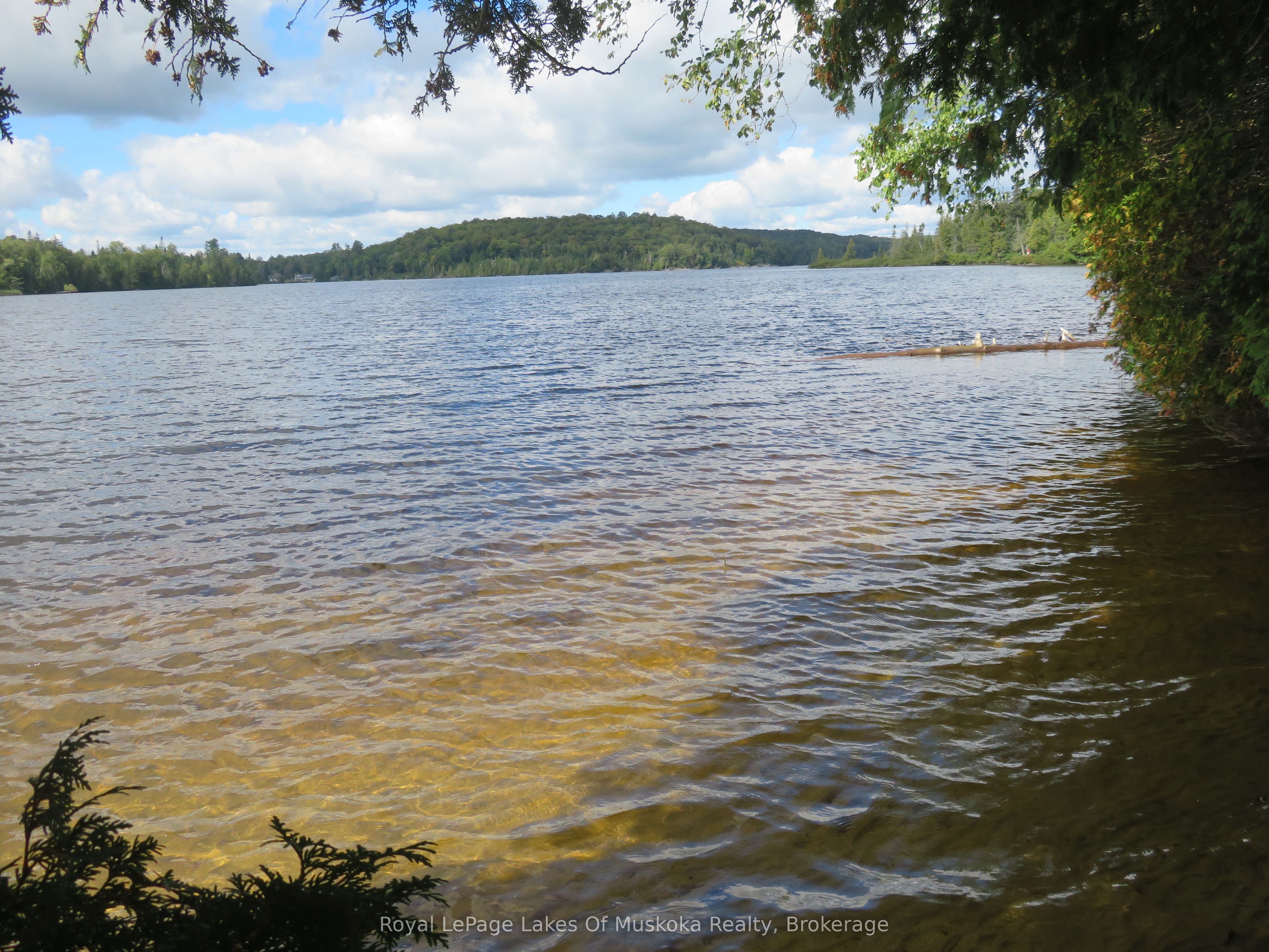 1071 Dotty Lake Road, Lake of Bays, ON P0A 1H0 photo 5