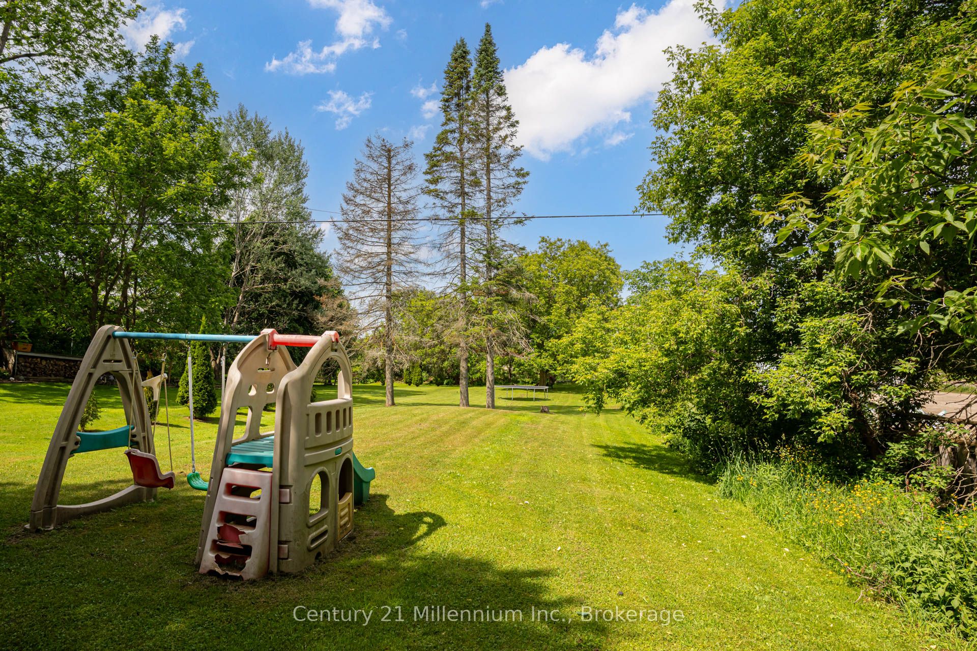266 Garafraxa Street, Chatsworth, ON N0H 1G0 photo 4