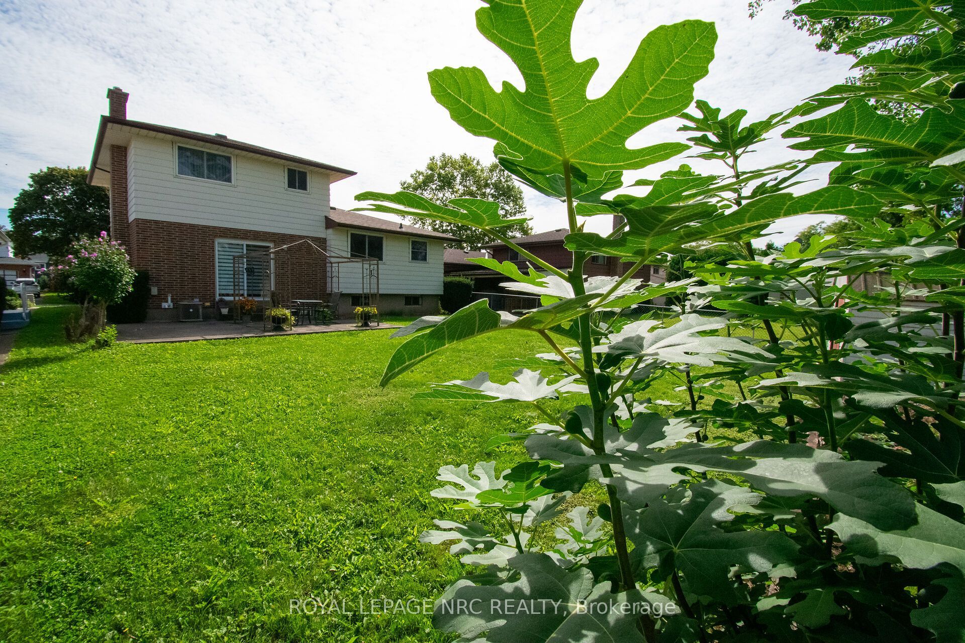 7 Dolly Circle, St. Catharines, ON L2P 3T2 photo 3