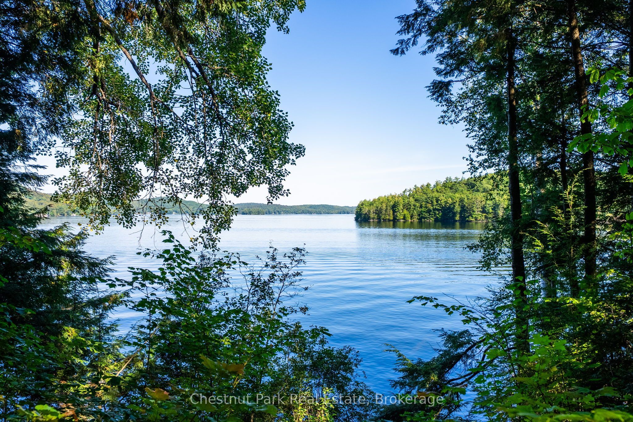 4339 Muskoka Road 117 Road, Lake of Bays, ON P0B 1A0 photo 2
