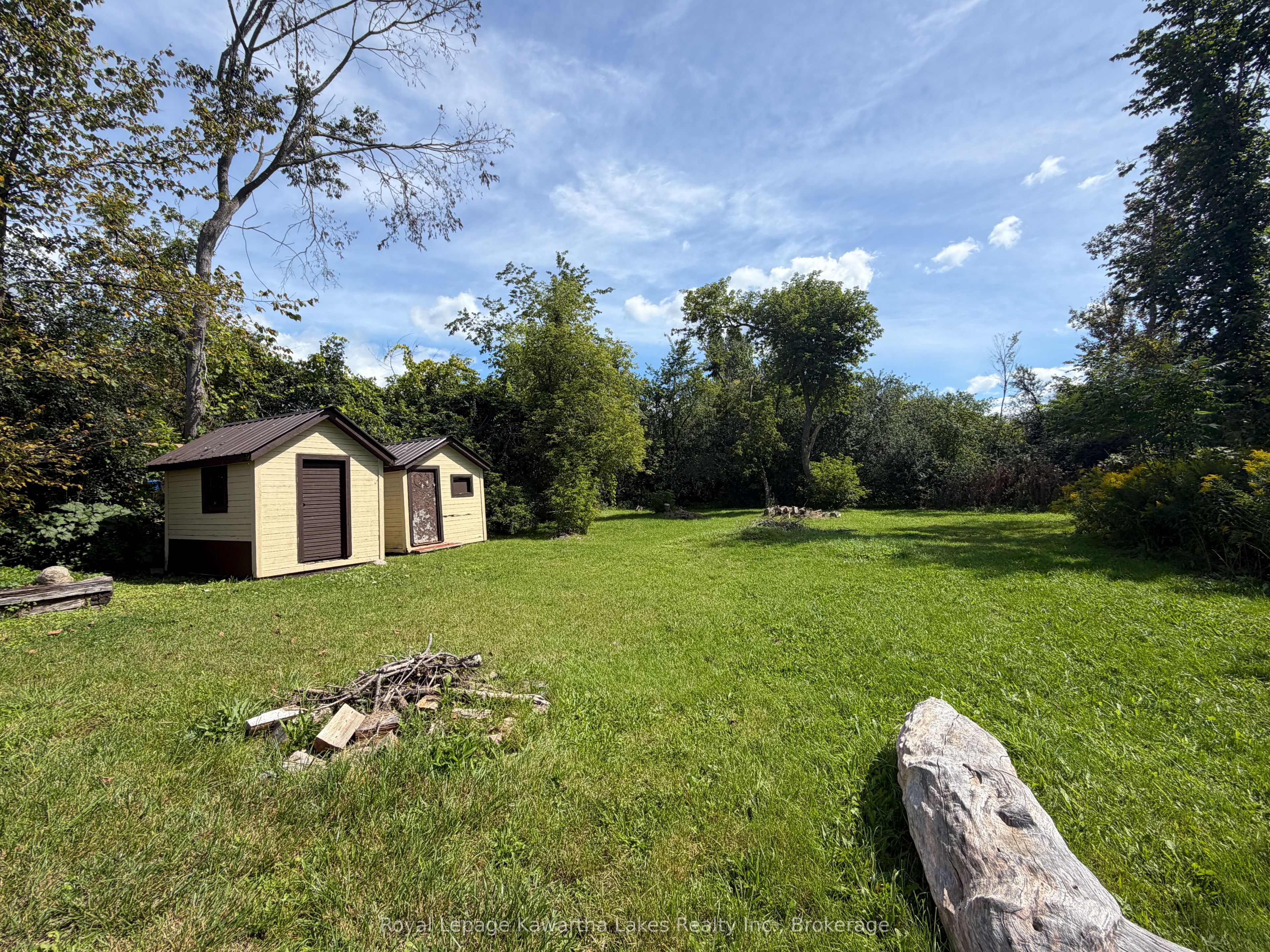 67 Murray Street, Kawartha Lakes, ON K0M 1N0 photo 3