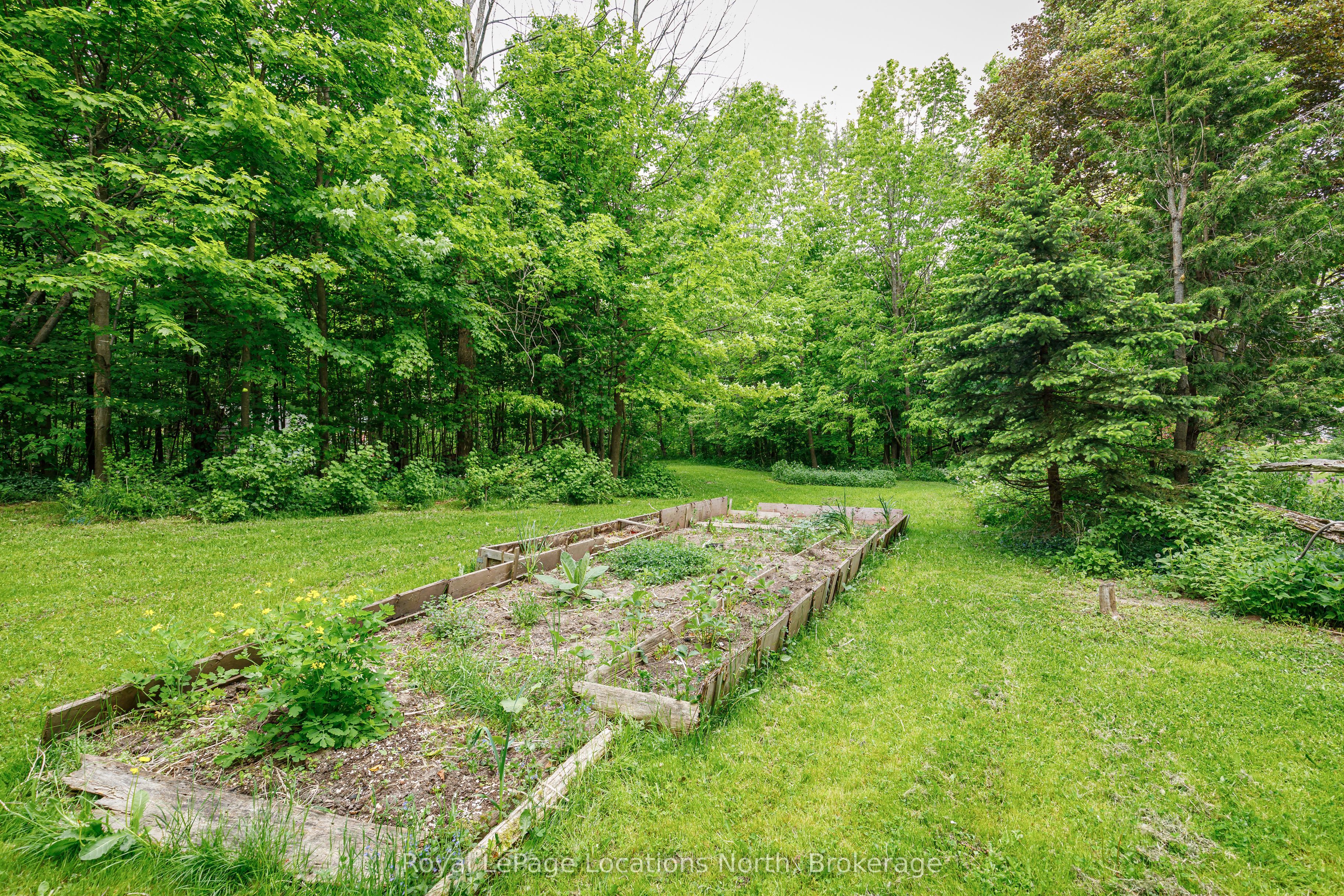 LOT 22 Park Street S, Grey Highlands, ON N0C 1E0 photo 4