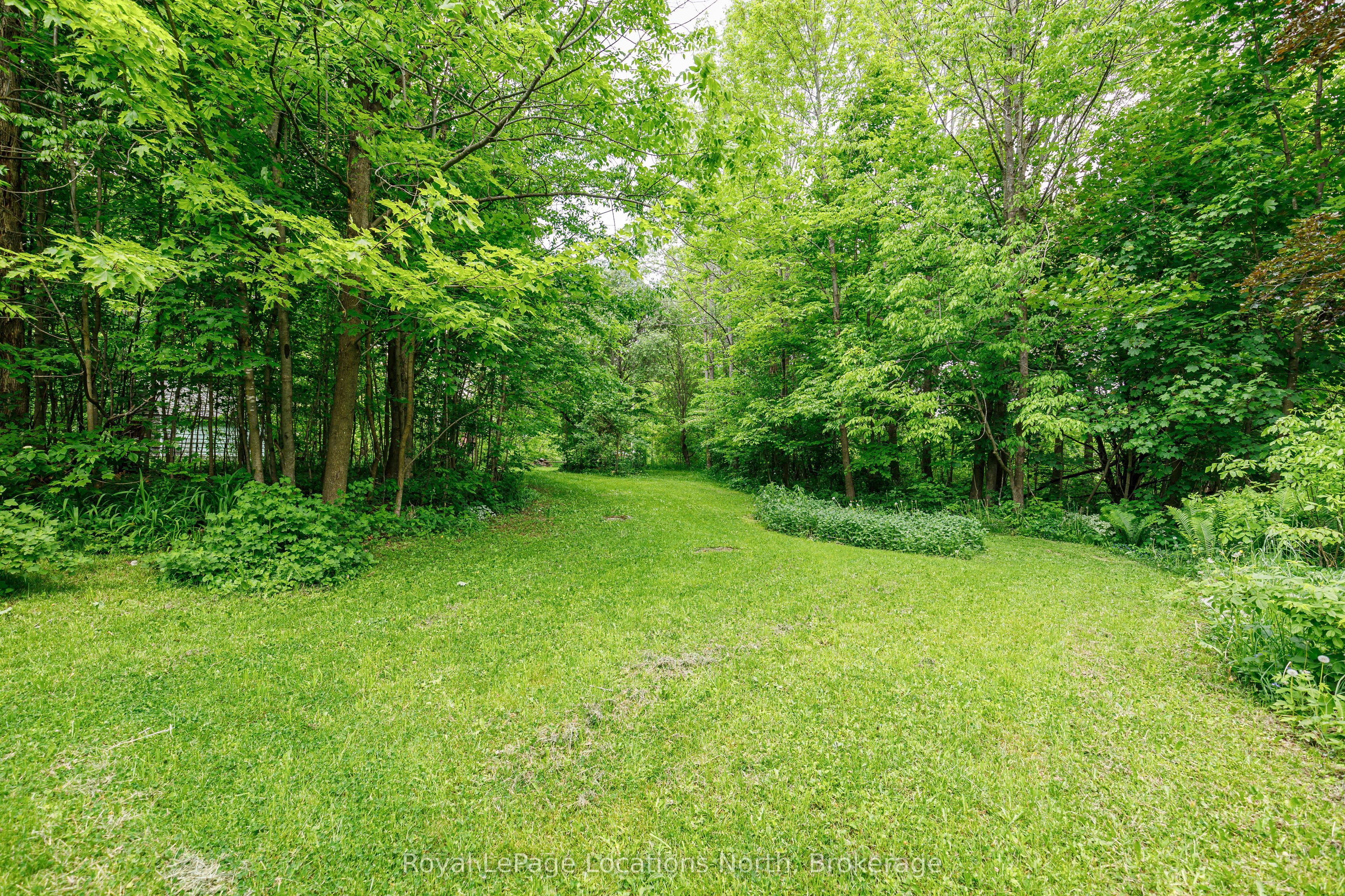 LOT 22 Park Street S, Grey Highlands, ON N0C 1E0 photo 5
