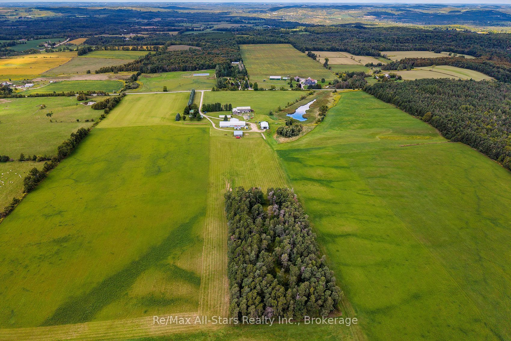 420 Solanum Way, Kawartha Lakes, ON L0A 1K0 photo 4