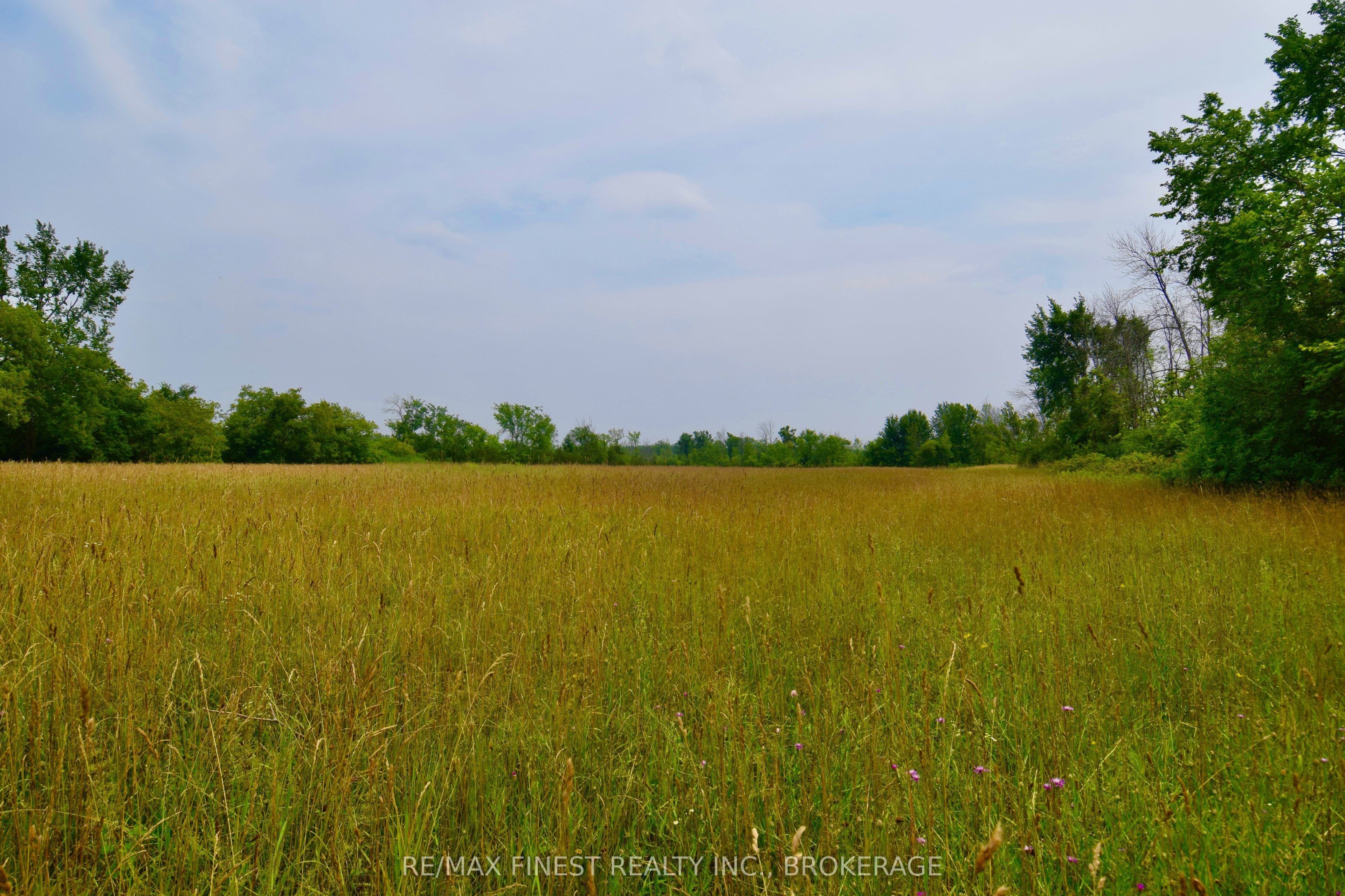 1654 Bethel Road, Stone Mills, ON K0K 3N0 photo 2