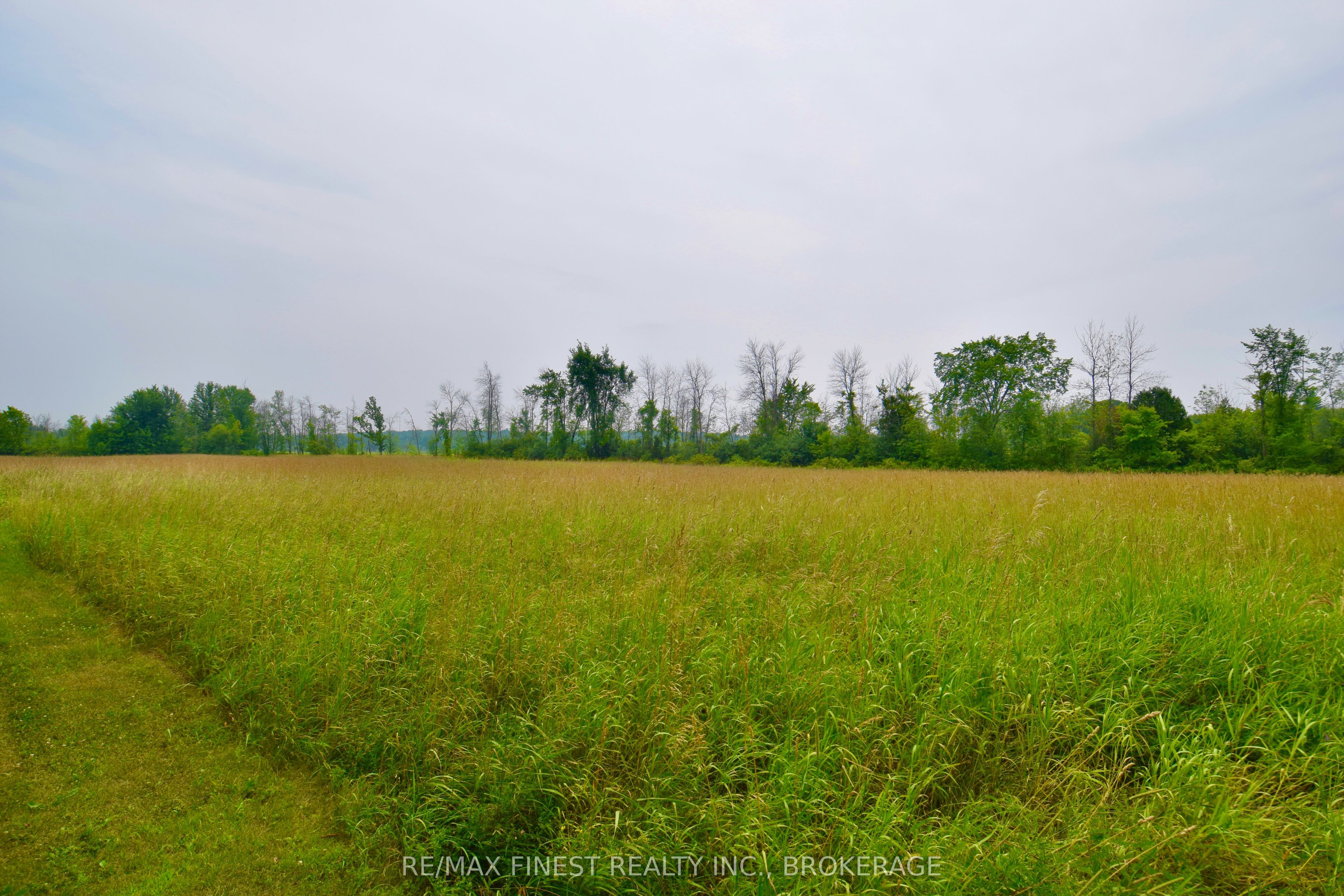 1654 Bethel Road, Stone Mills, ON K0K 3N0 photo 3