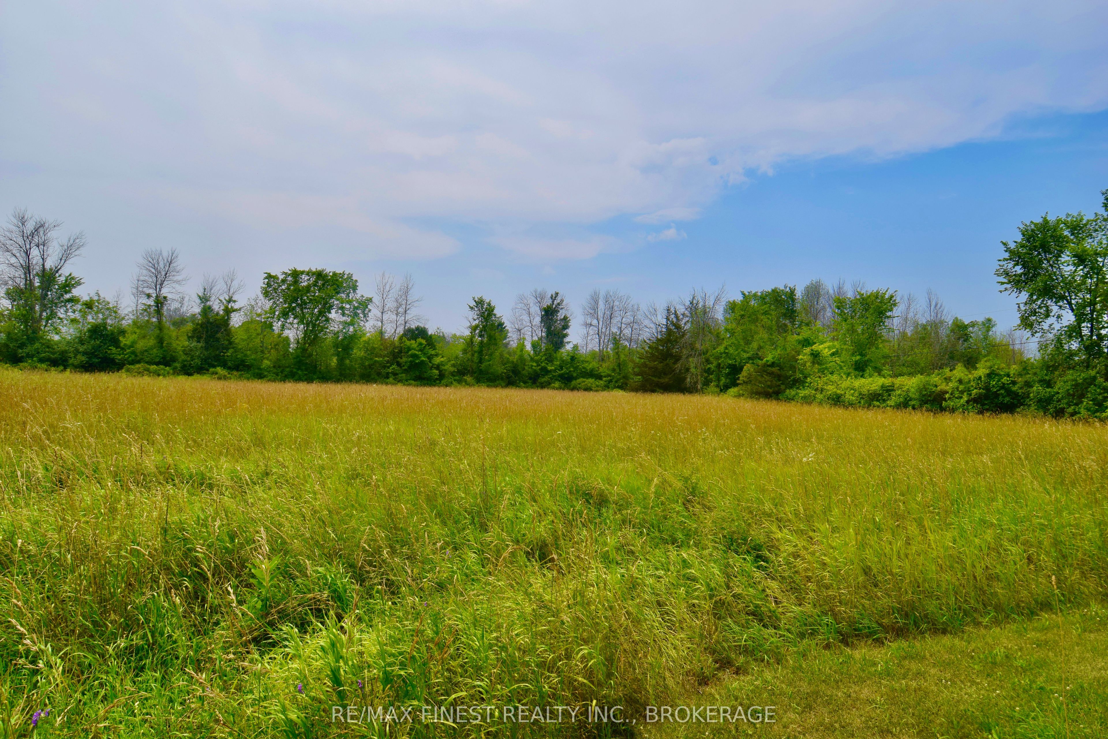 1654 Bethel Road, Stone Mills, ON K0K 3N0 photo 4