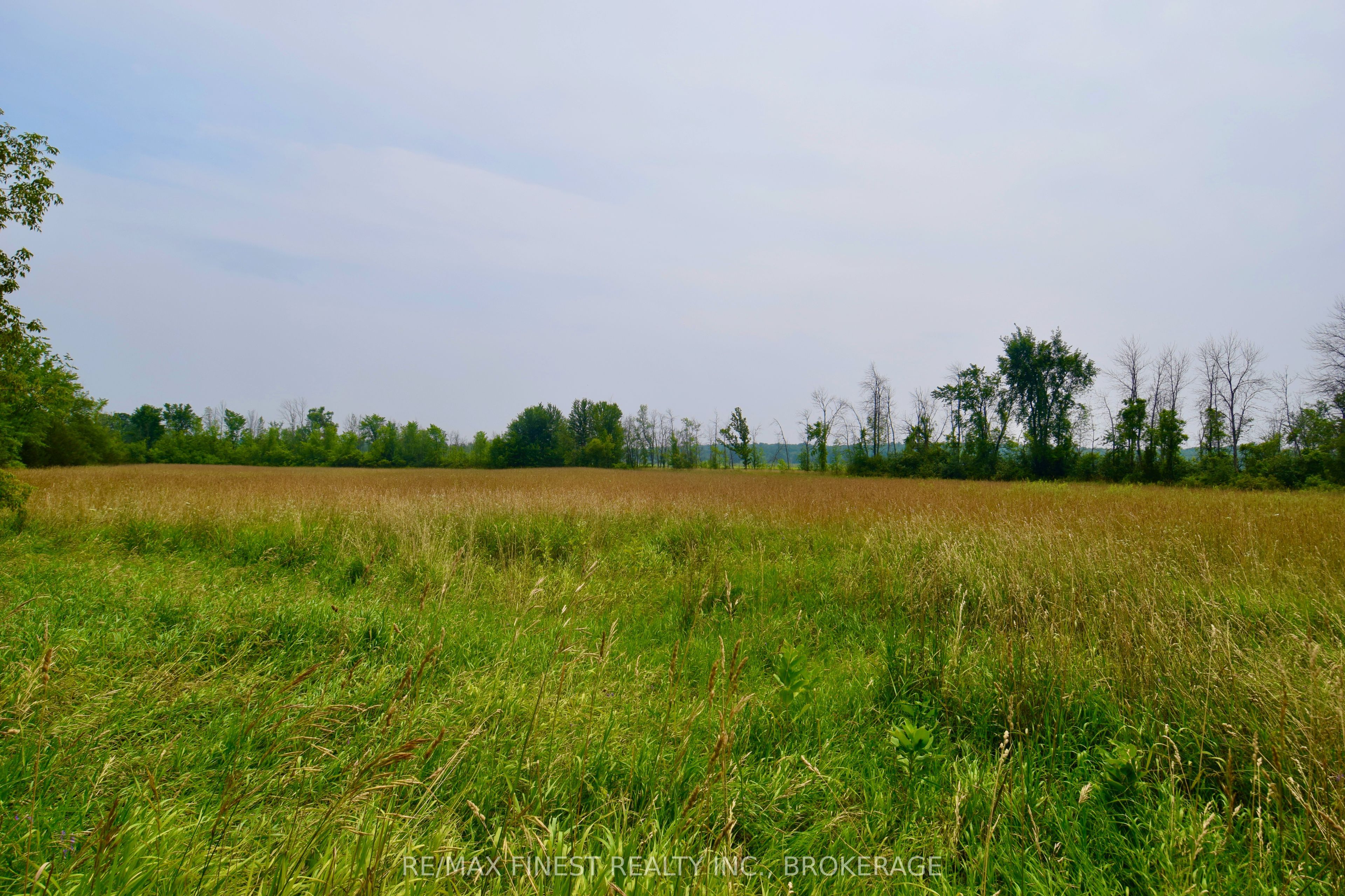 1654 Bethel Road, Stone Mills, ON K0K 3N0 photo 5