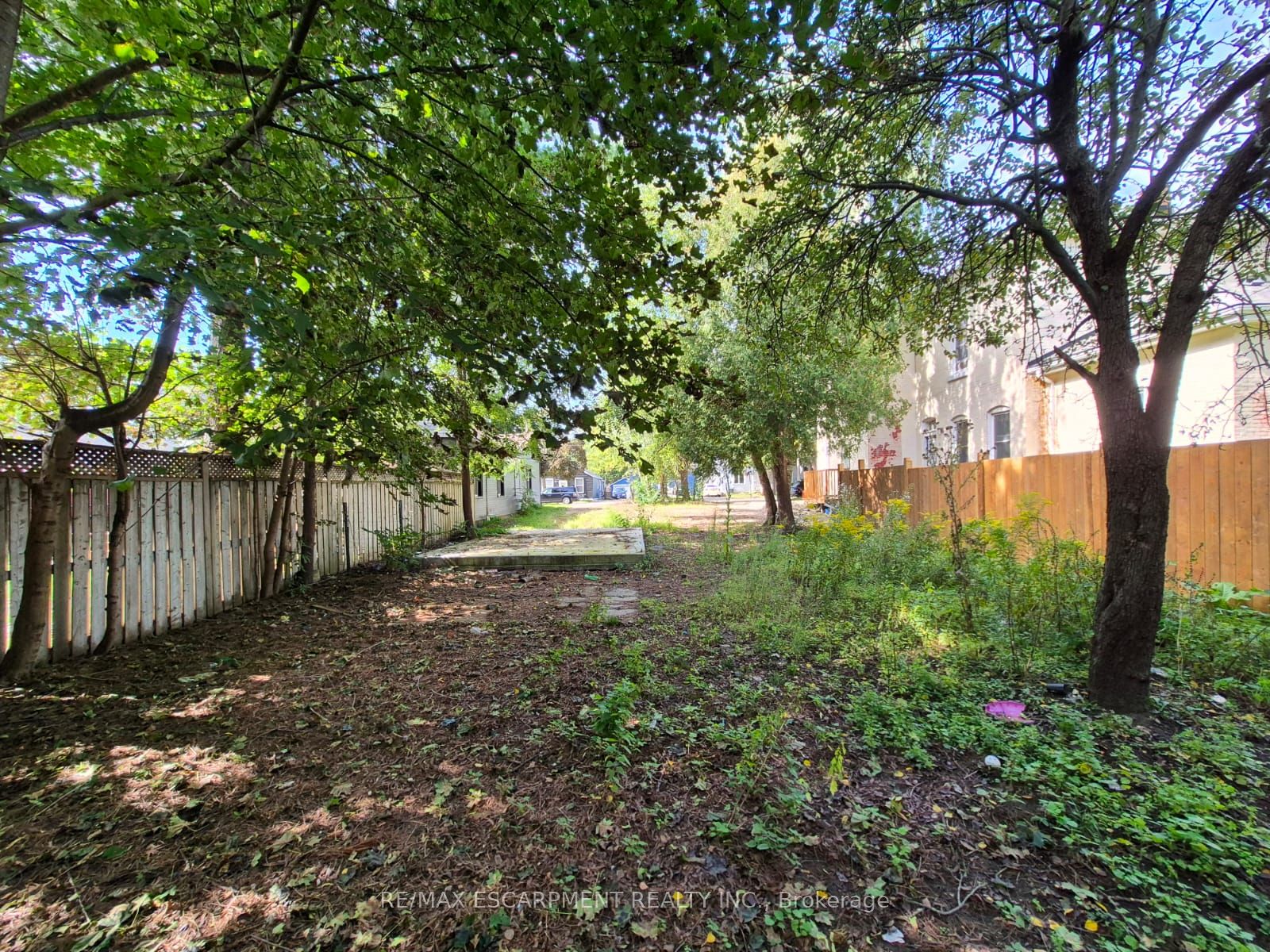 51 Pearl Street, Brantford, ON N3T 3N5 photo 2