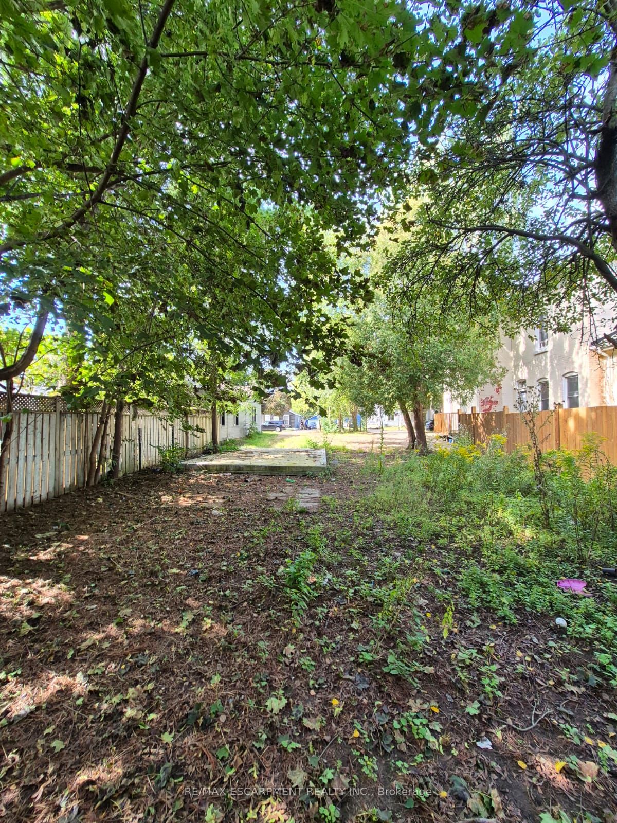 51 Pearl Street, Brantford, ON N3T 3N5 photo 3