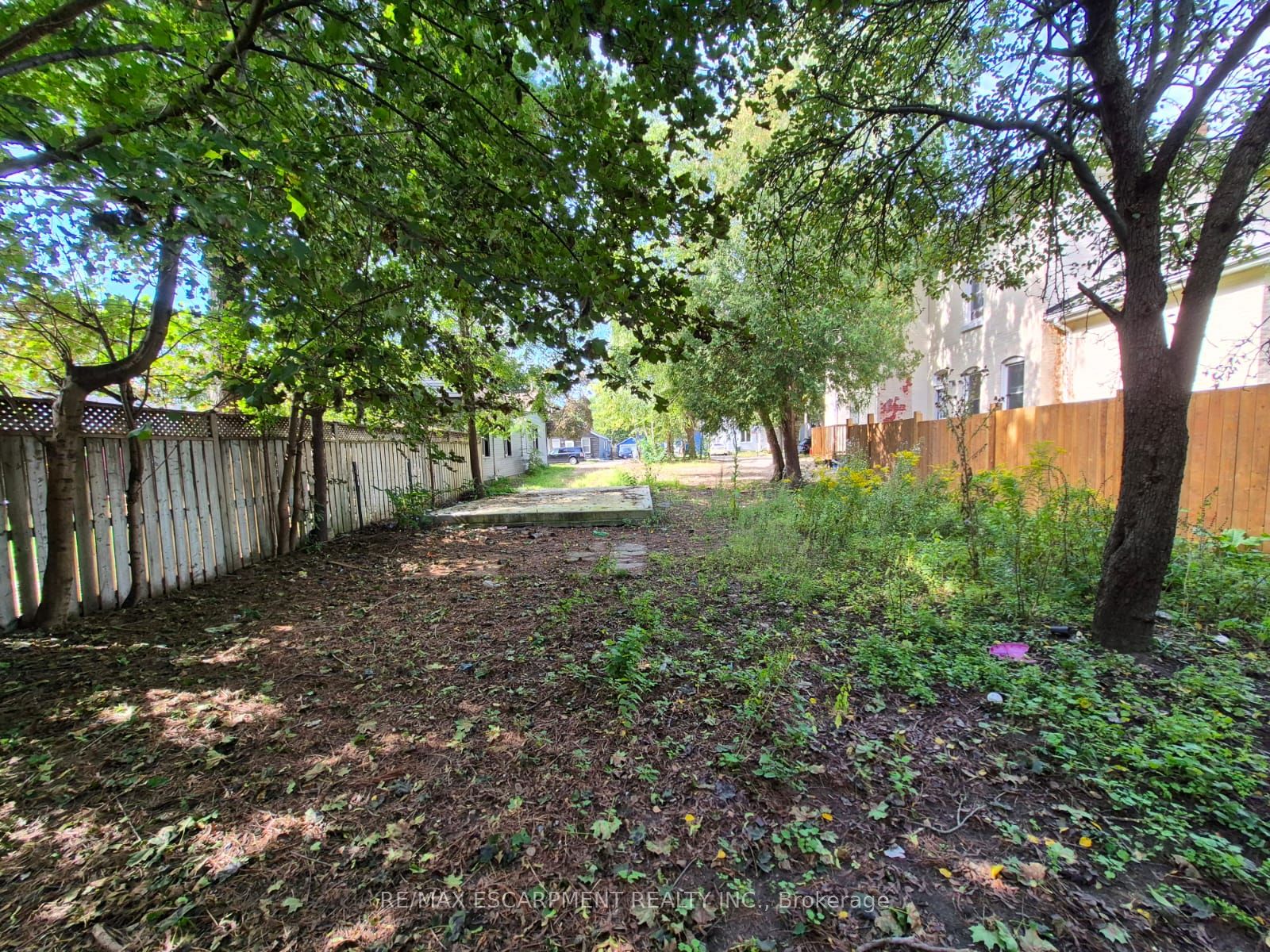 51 Pearl Street, Brantford, ON N3T 3N5 photo 4