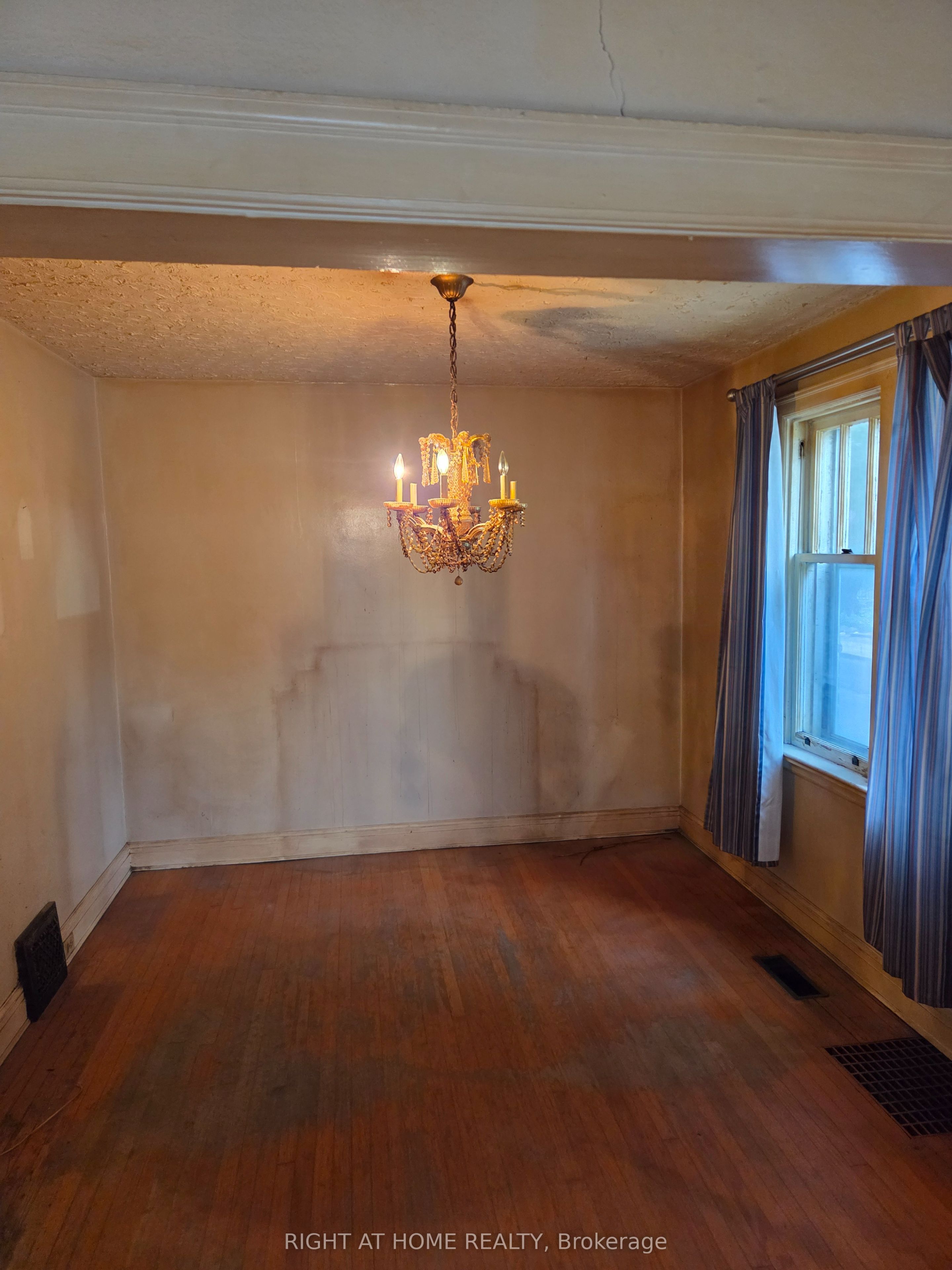 88 Lees Avenue, Glebe - Ottawa East and Area, ON K1S 0C1 photo 4