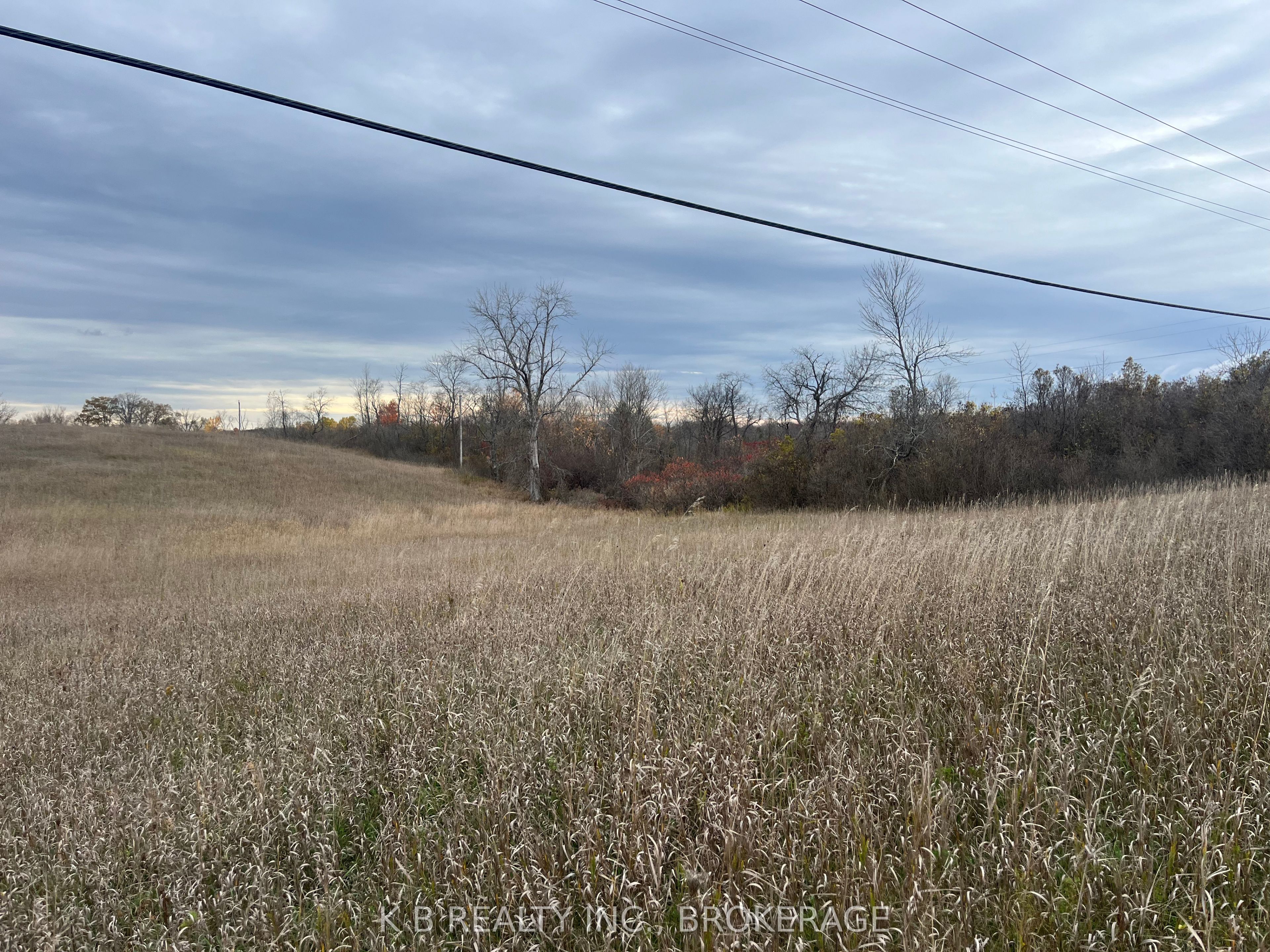 6562 County 4 Road, Stone Mills, ON K0K 3G0 photo 3