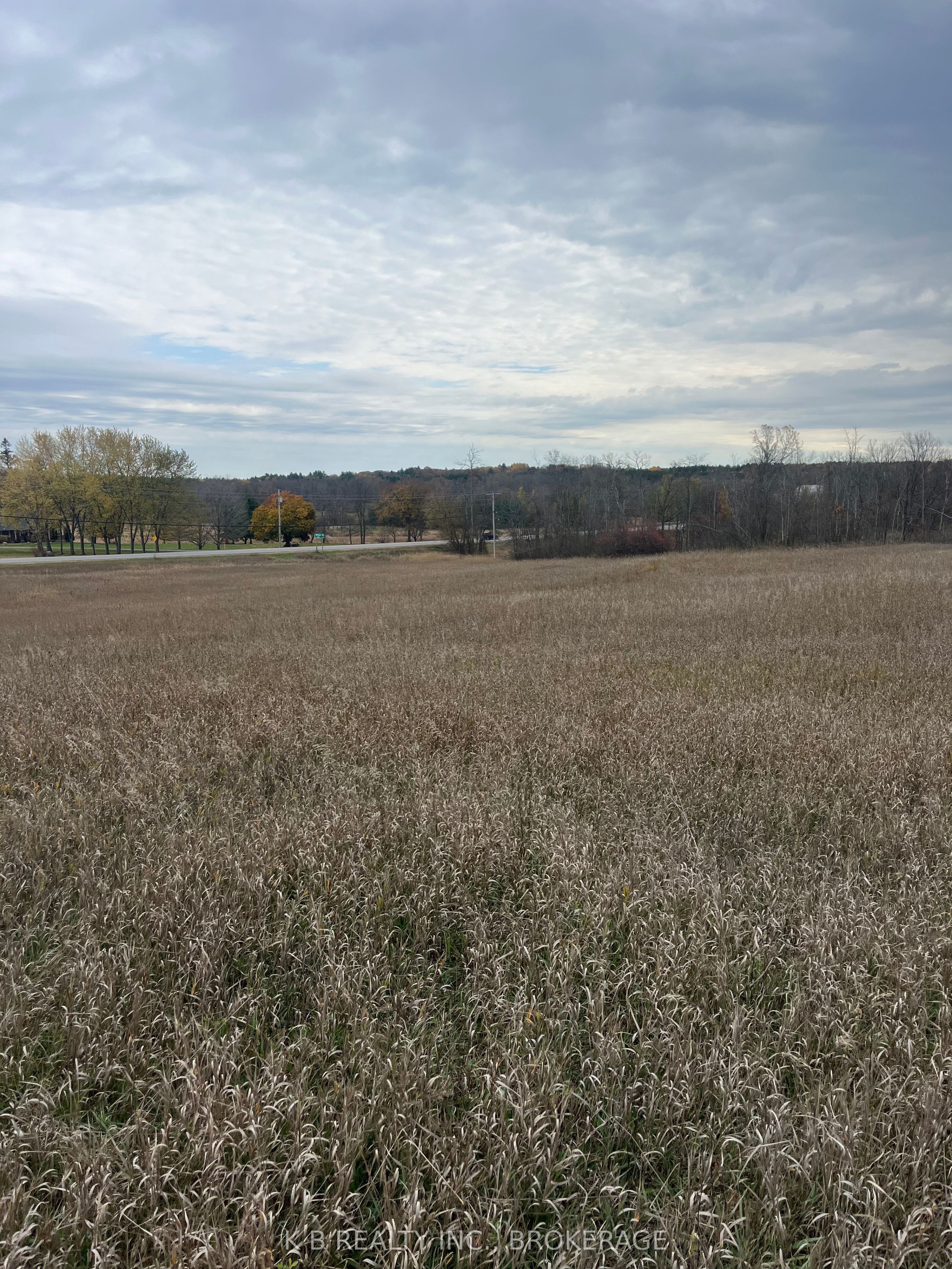 6562 County 4 Road, Stone Mills, ON K0K 3G0 photo 5