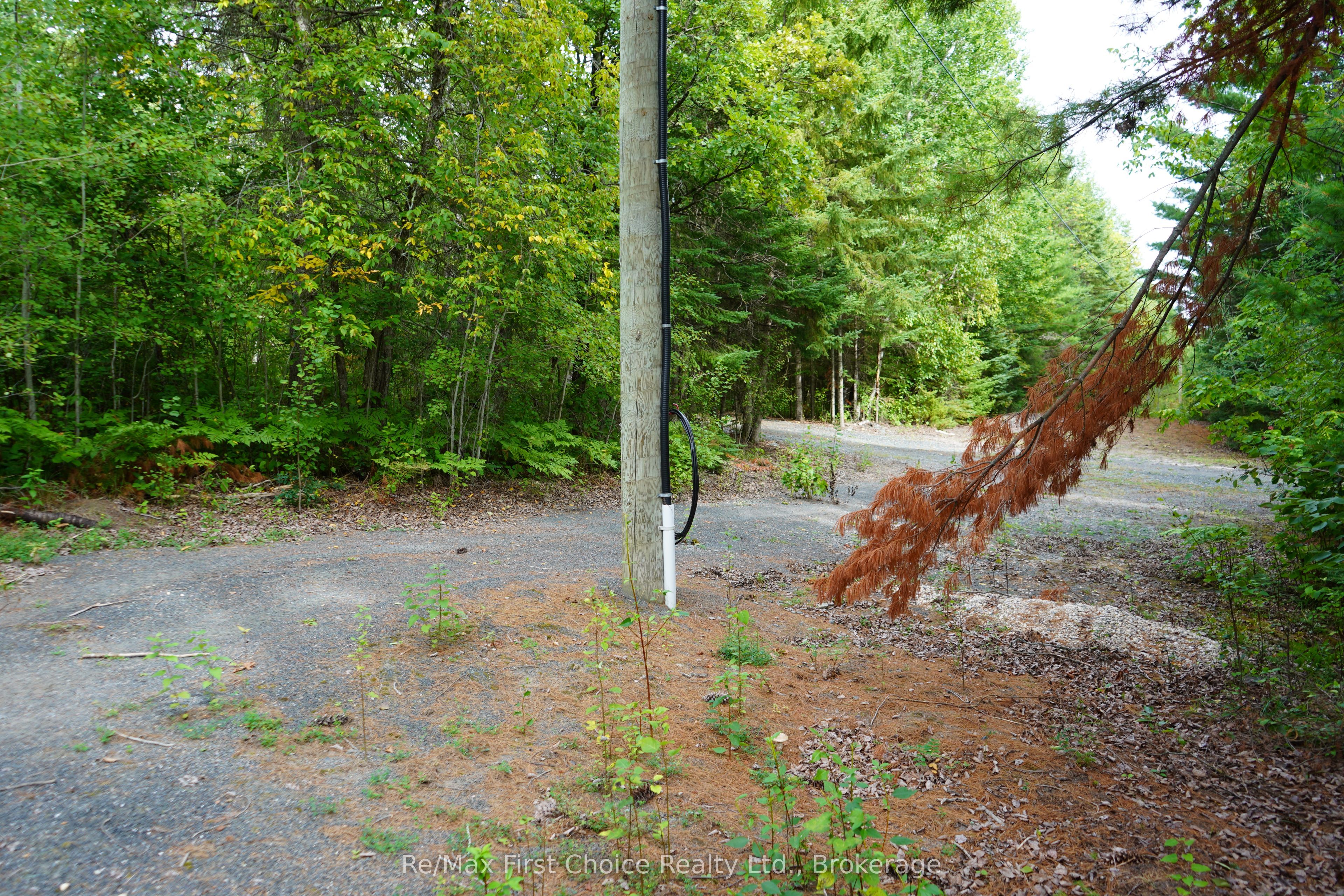 0 Dubois Road, Sioux Narrows-Nestor Falls, ON P0X 1N0 photo 5