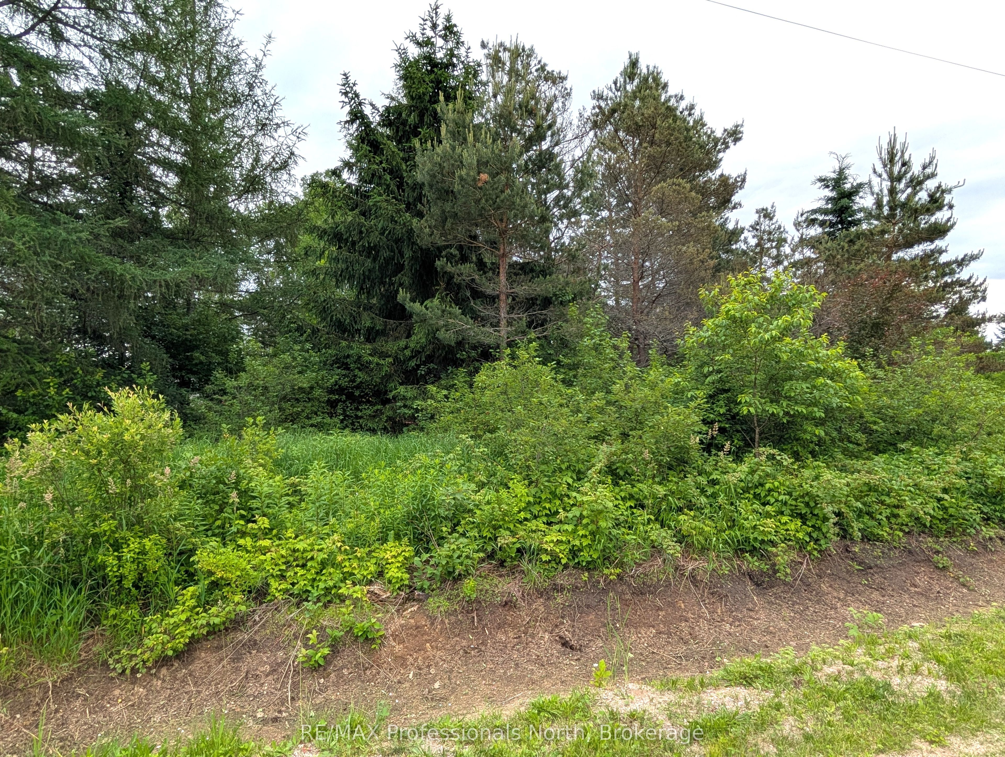 43 RIVERSIDE Avenue, South River, ON P0A 1X0 photo 2