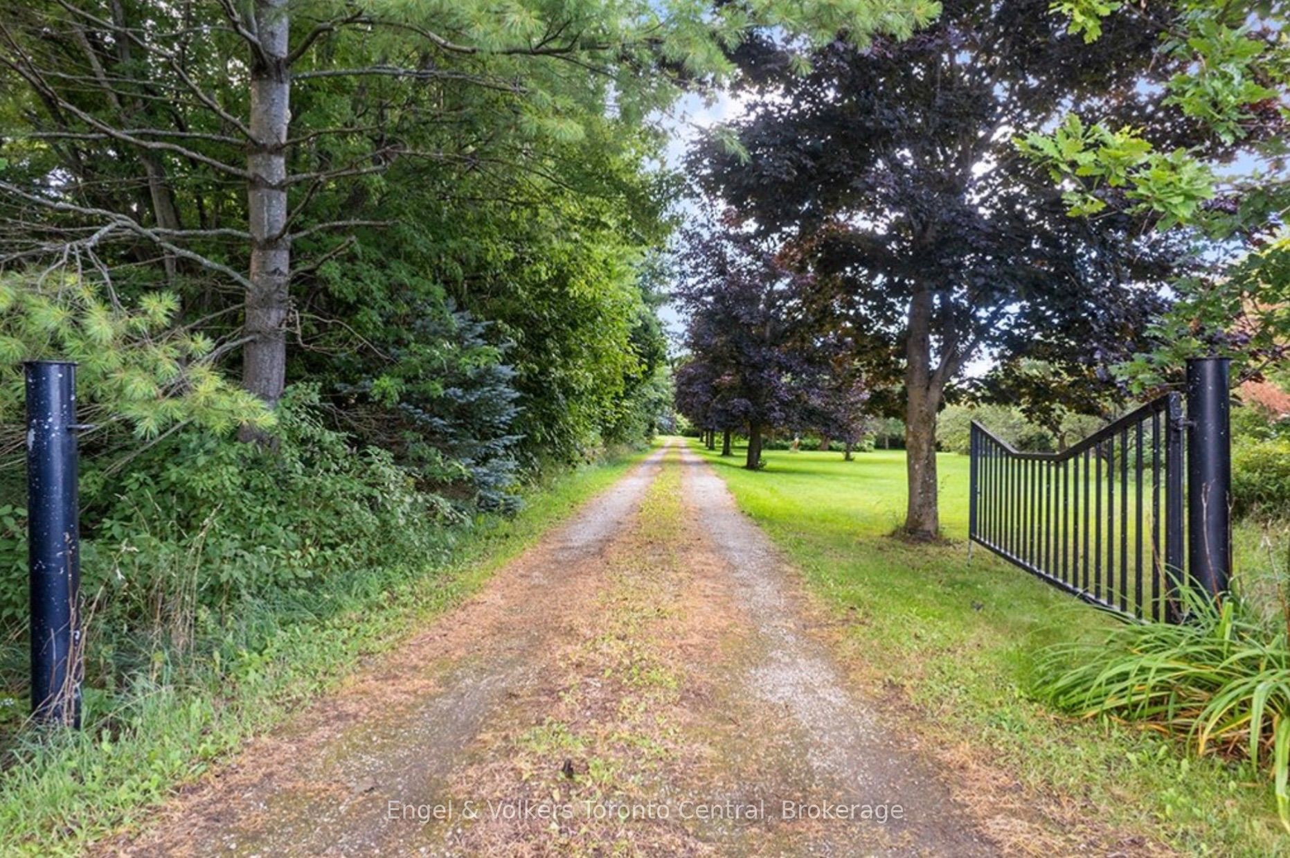 628482 119 Grey Road, Blue Mountains, ON N0H 1E0 photo 3